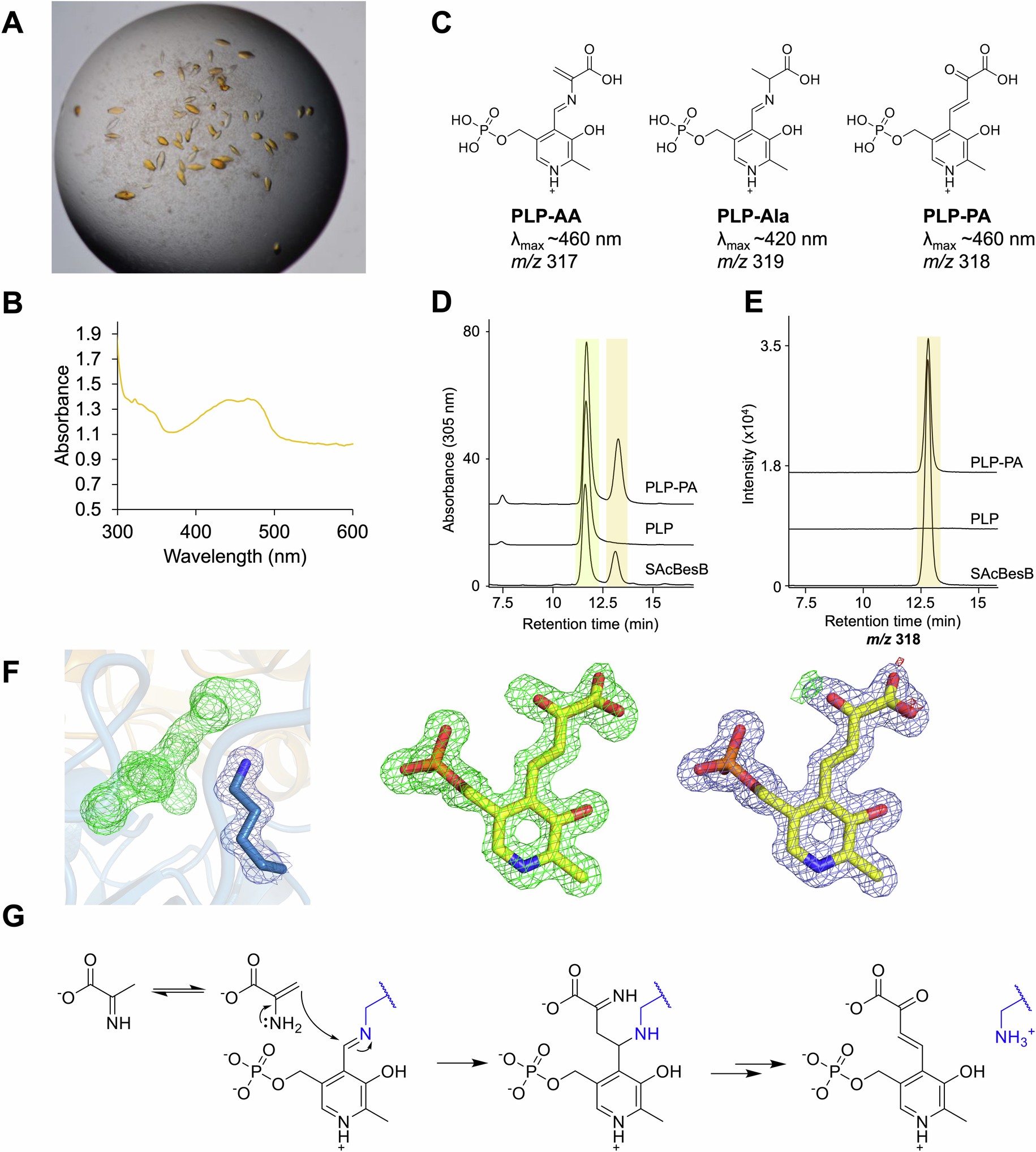 Extended Data Fig. 4
