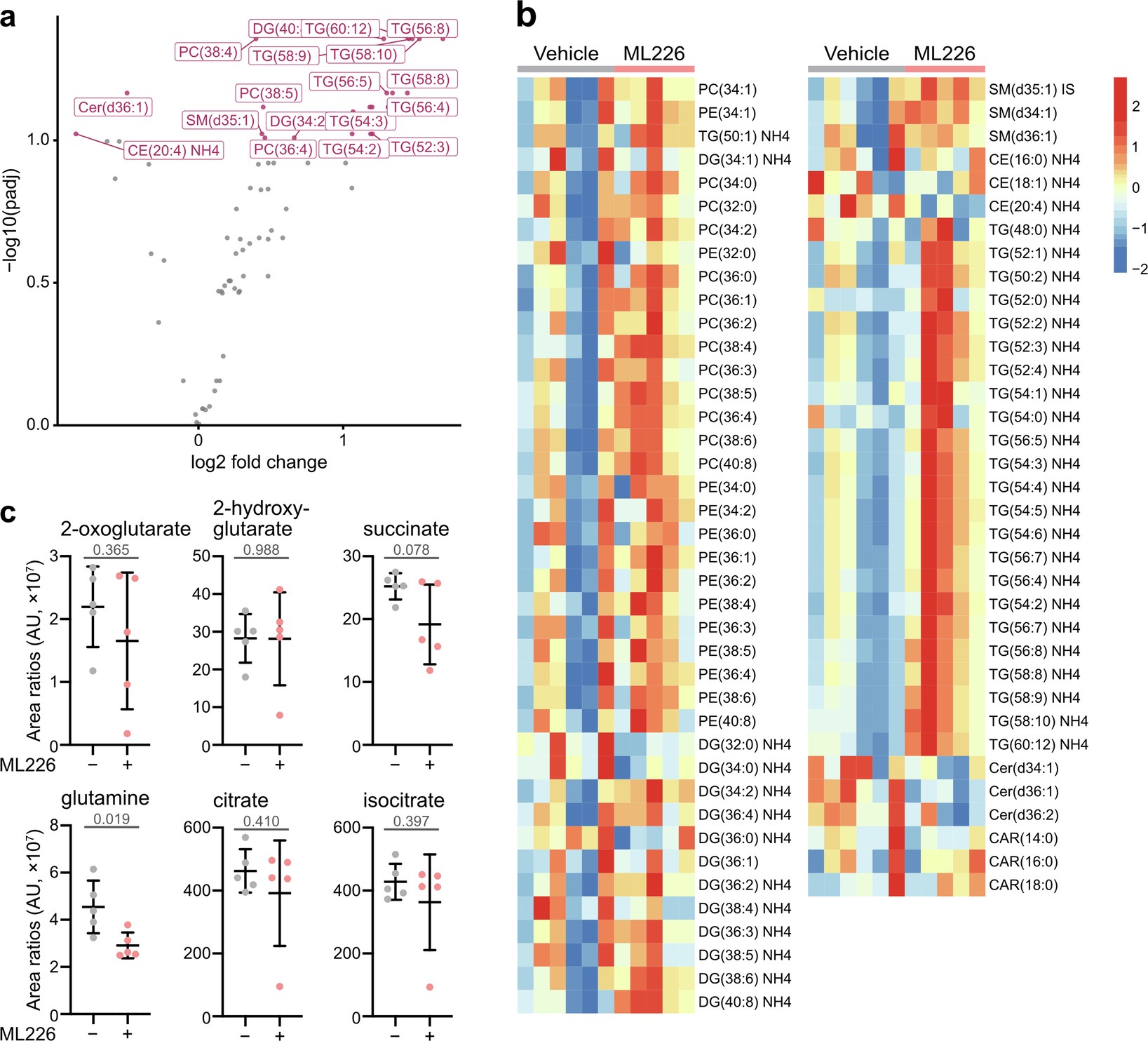 Extended Data Fig. 8: Metabolomic analyses in CD8+ T cells treated with ML226.