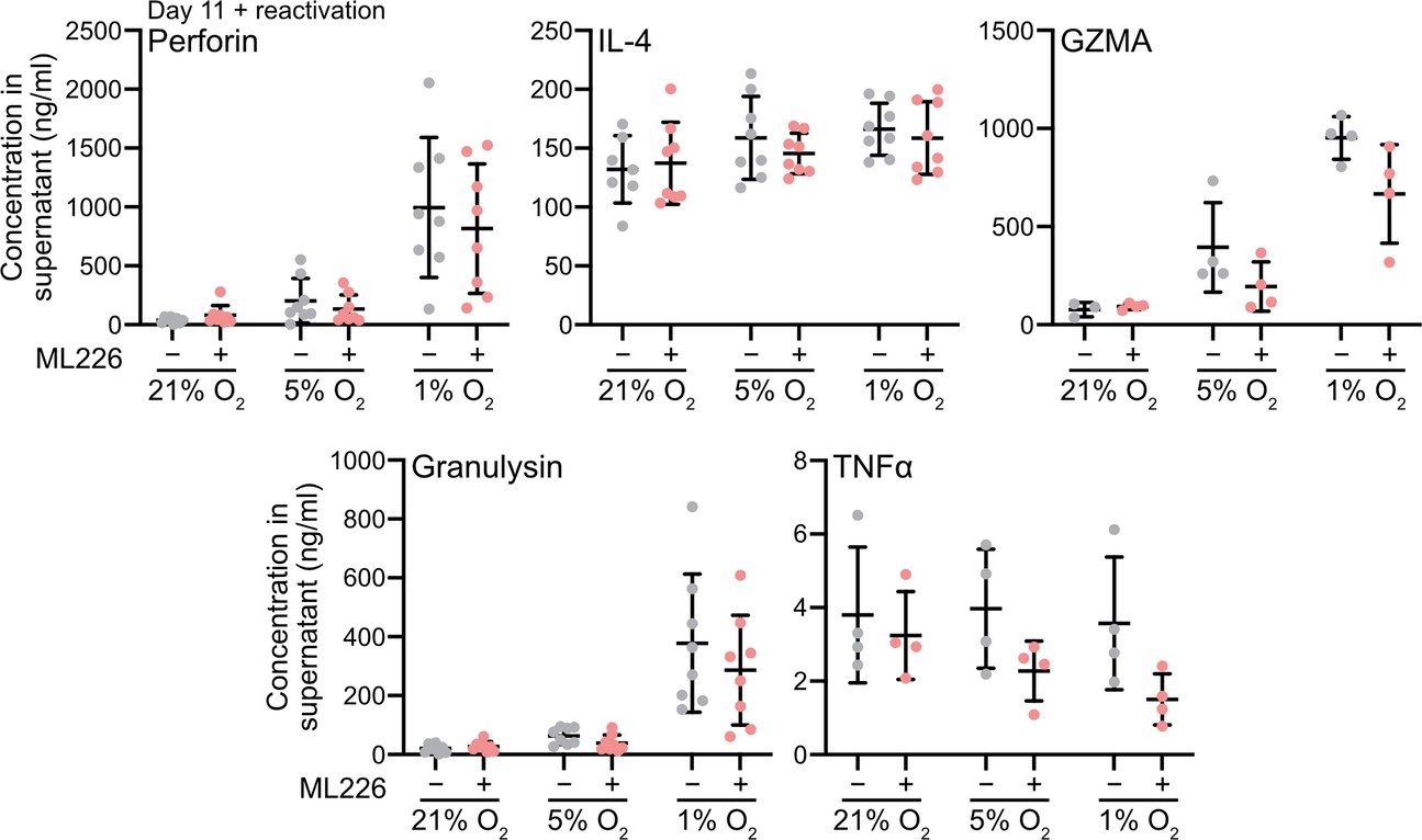 Extended Data Fig. 10: Cytokine release from CD8+ T cells treated with ML226.