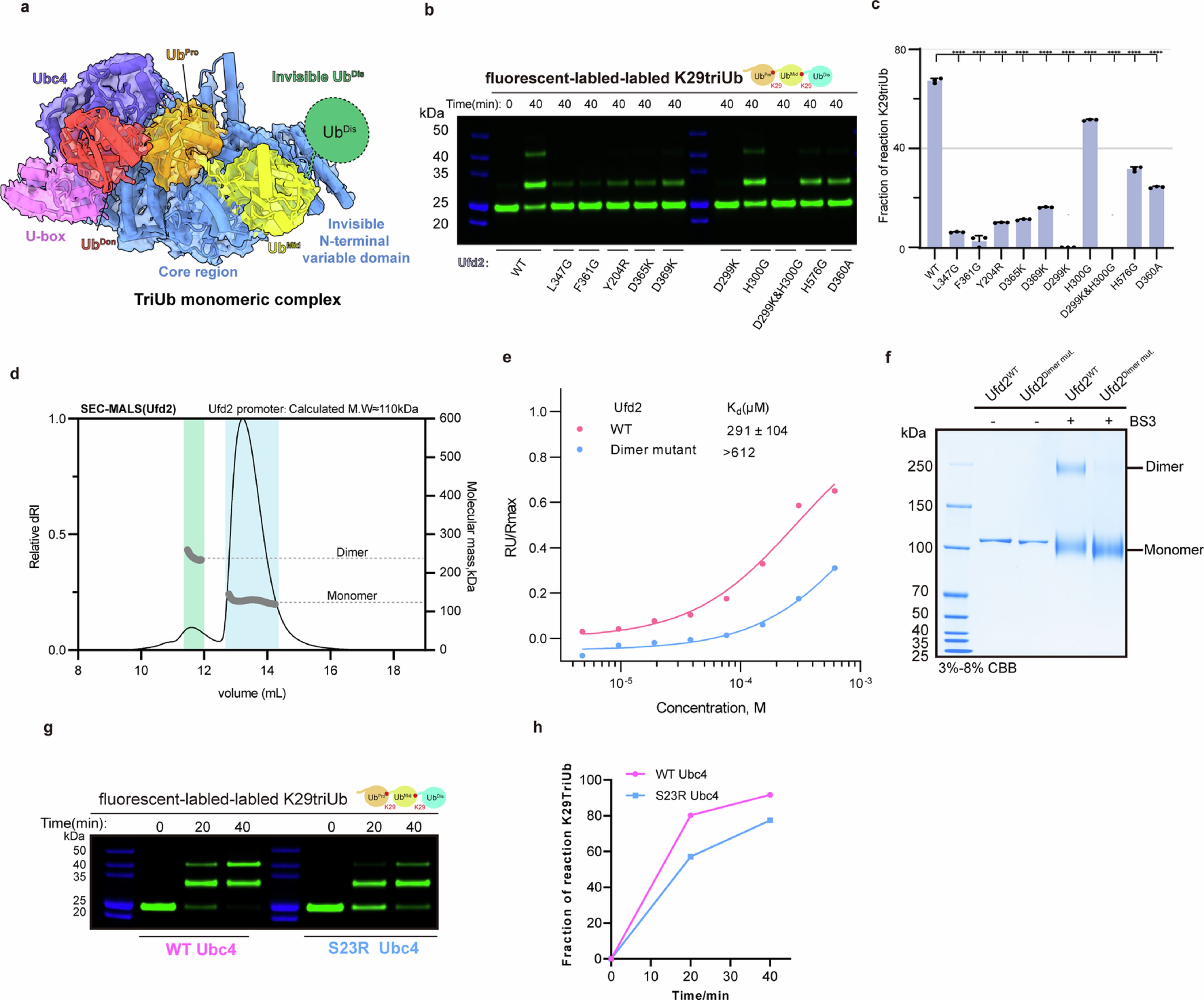 Extended Data Fig. 9