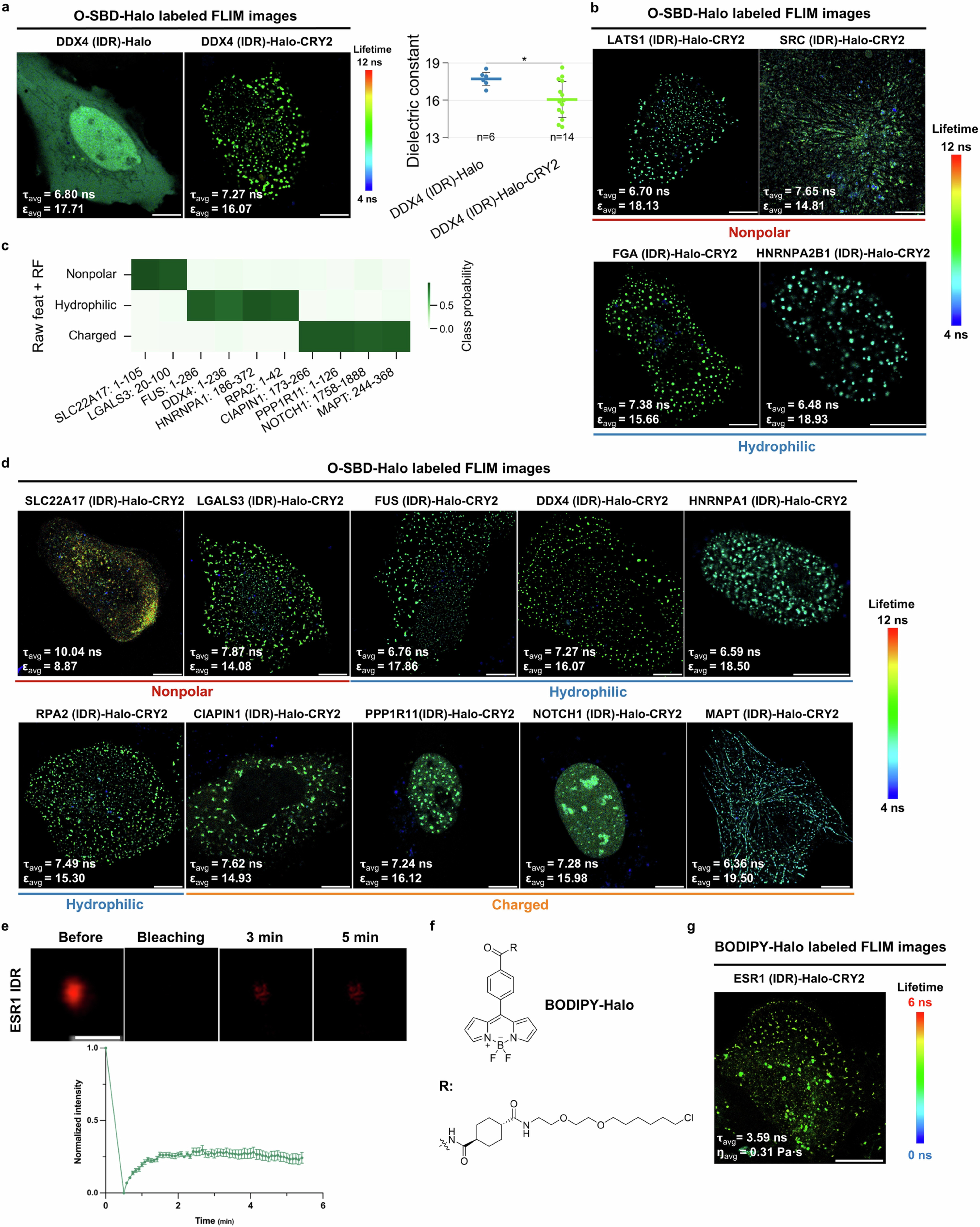 Extended Data Fig. 6