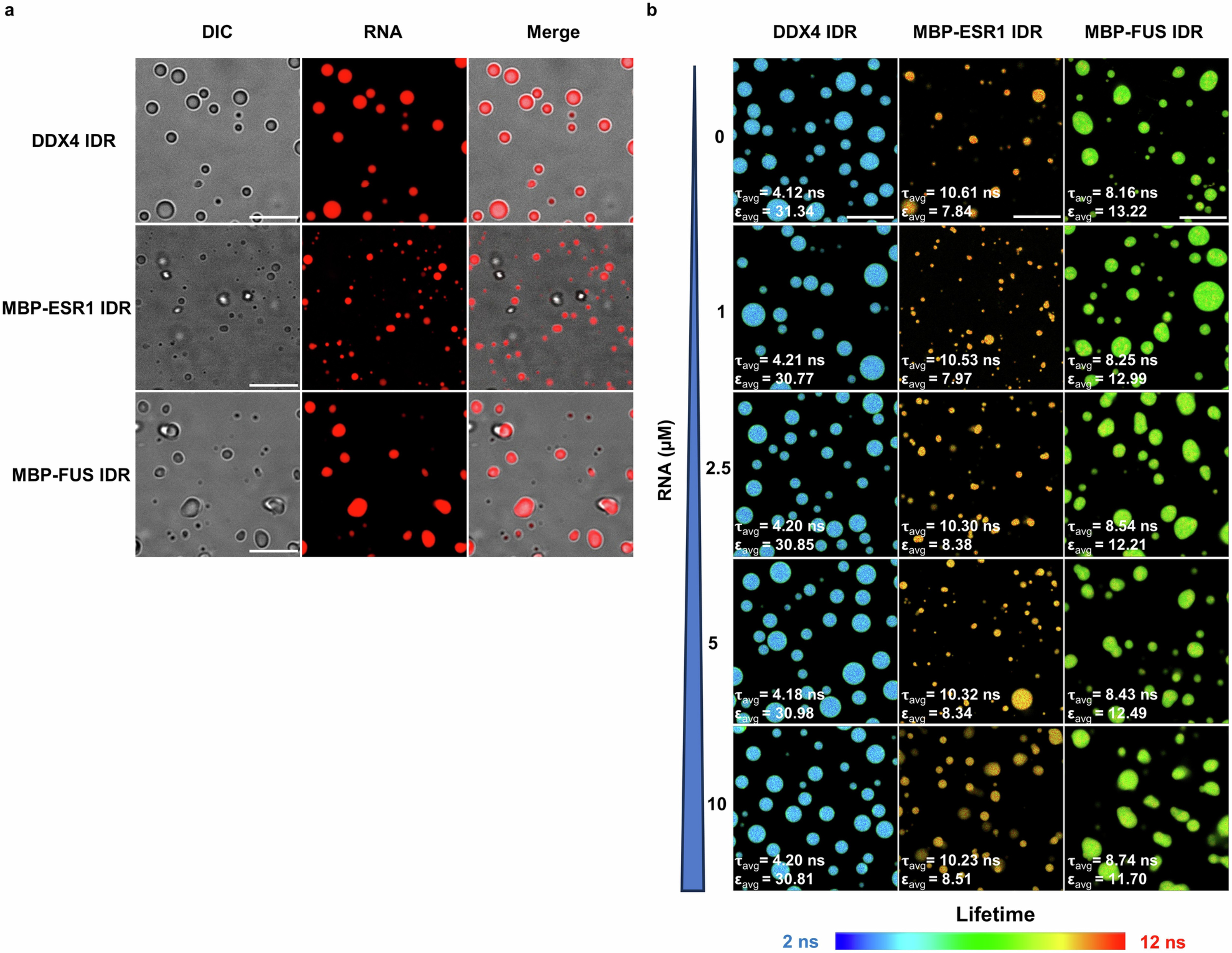 Extended Data Fig. 10