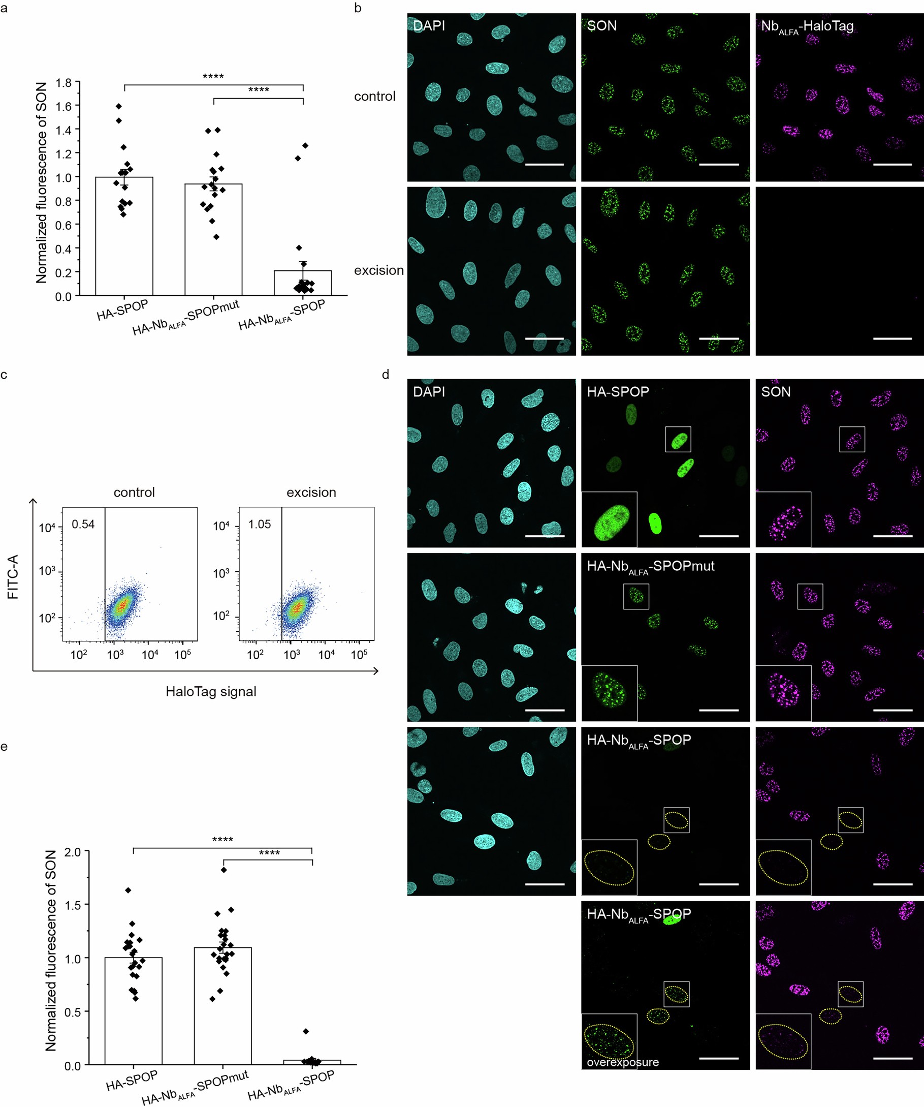 Extended Data Fig. 3