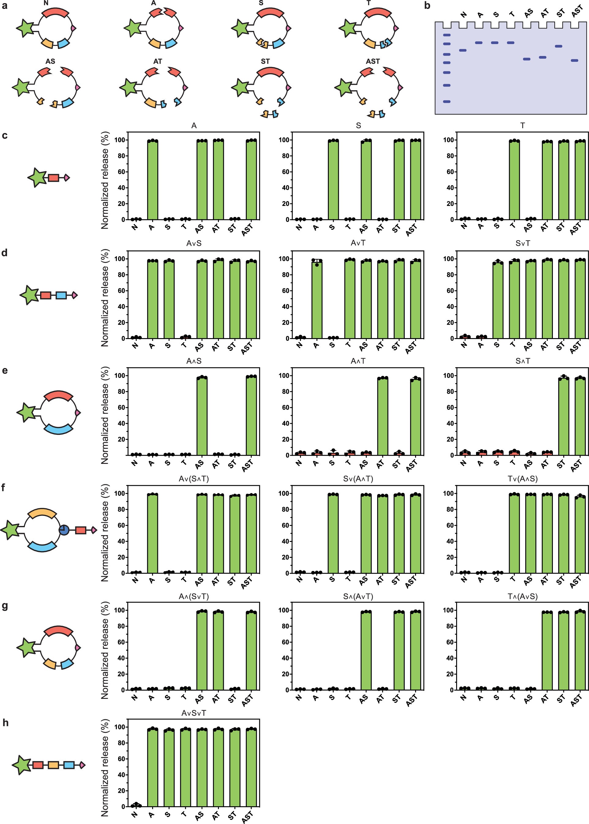 Extended Data Fig. 2