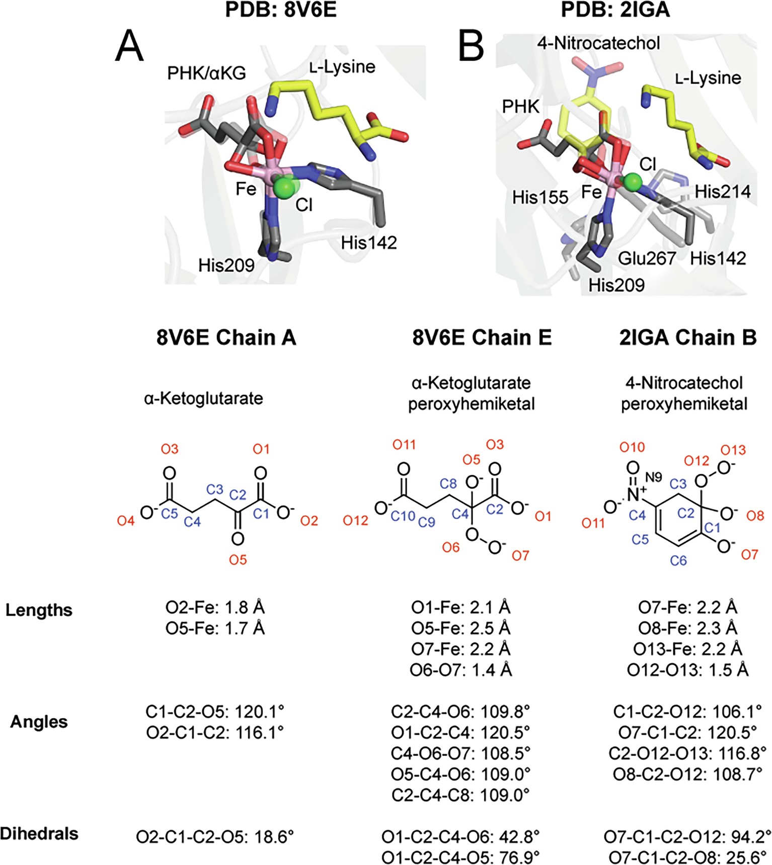 Extended Data Fig. 2: Analysis and comparison of the Fe-peroxyhemiketal(PHK)/Criegee intermediate observed in HalA.