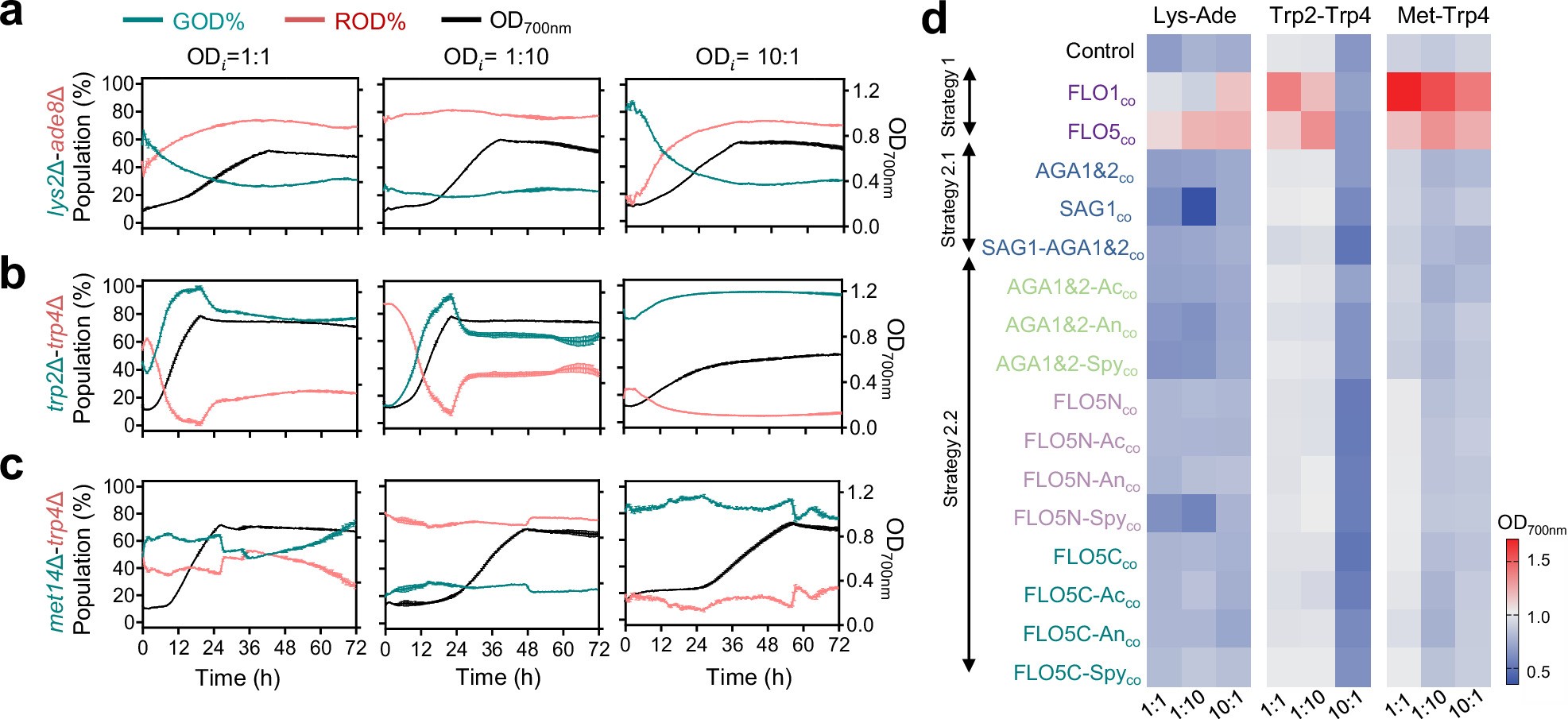 Extended Data Fig. 3: Growth dynamics and cell proportions in synthetic yeast cocultures.