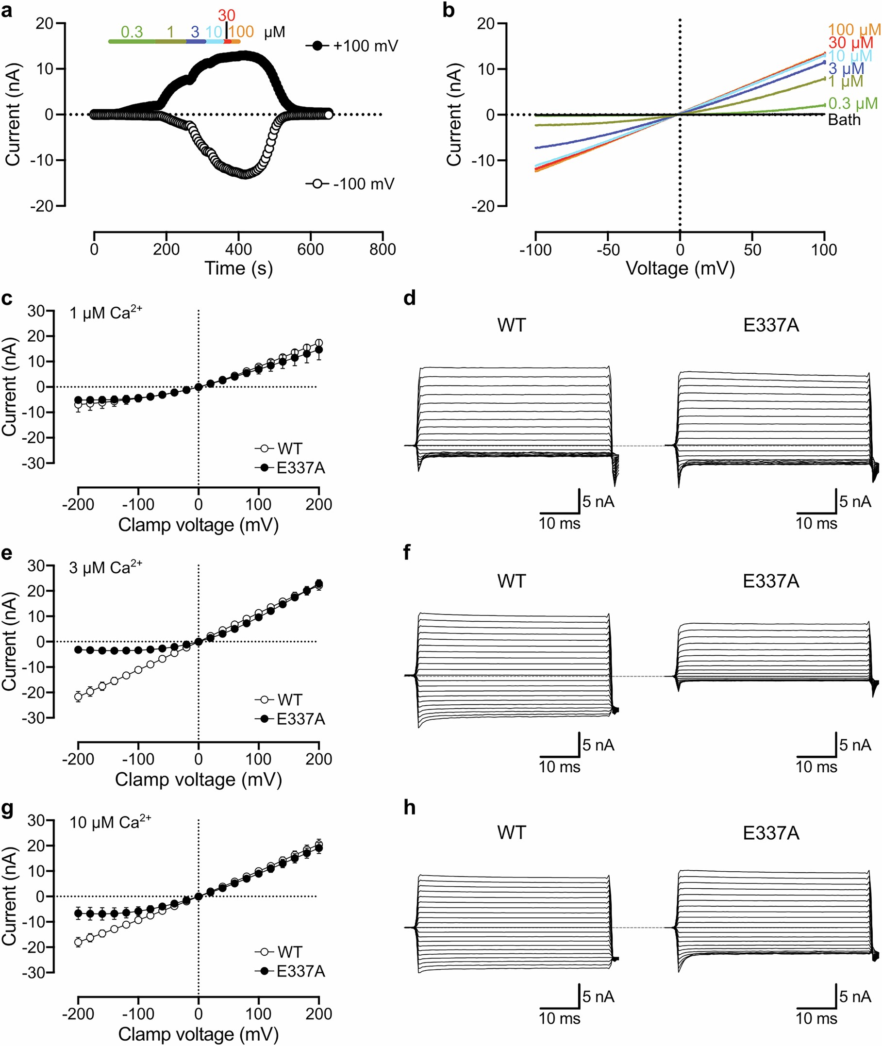 Extended Data Fig. 6: Whole-cell current responses in TRPM5-WT and E337A: Effects of CBTA and varying intracellular calcium concentrations.