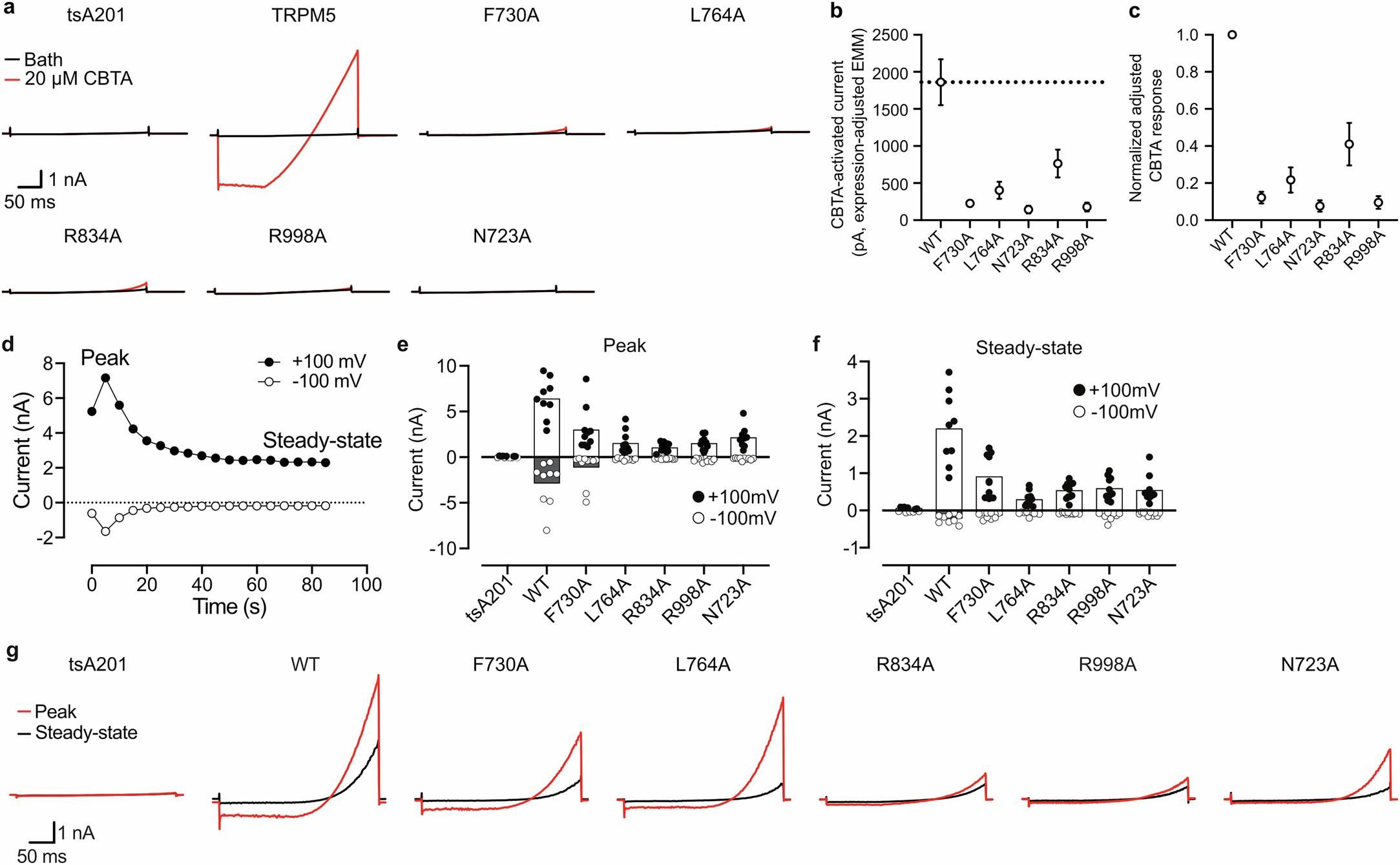 Extended Data Fig. 2: Whole-cell recordings of CBTA-binding site mutants of TRPM5.