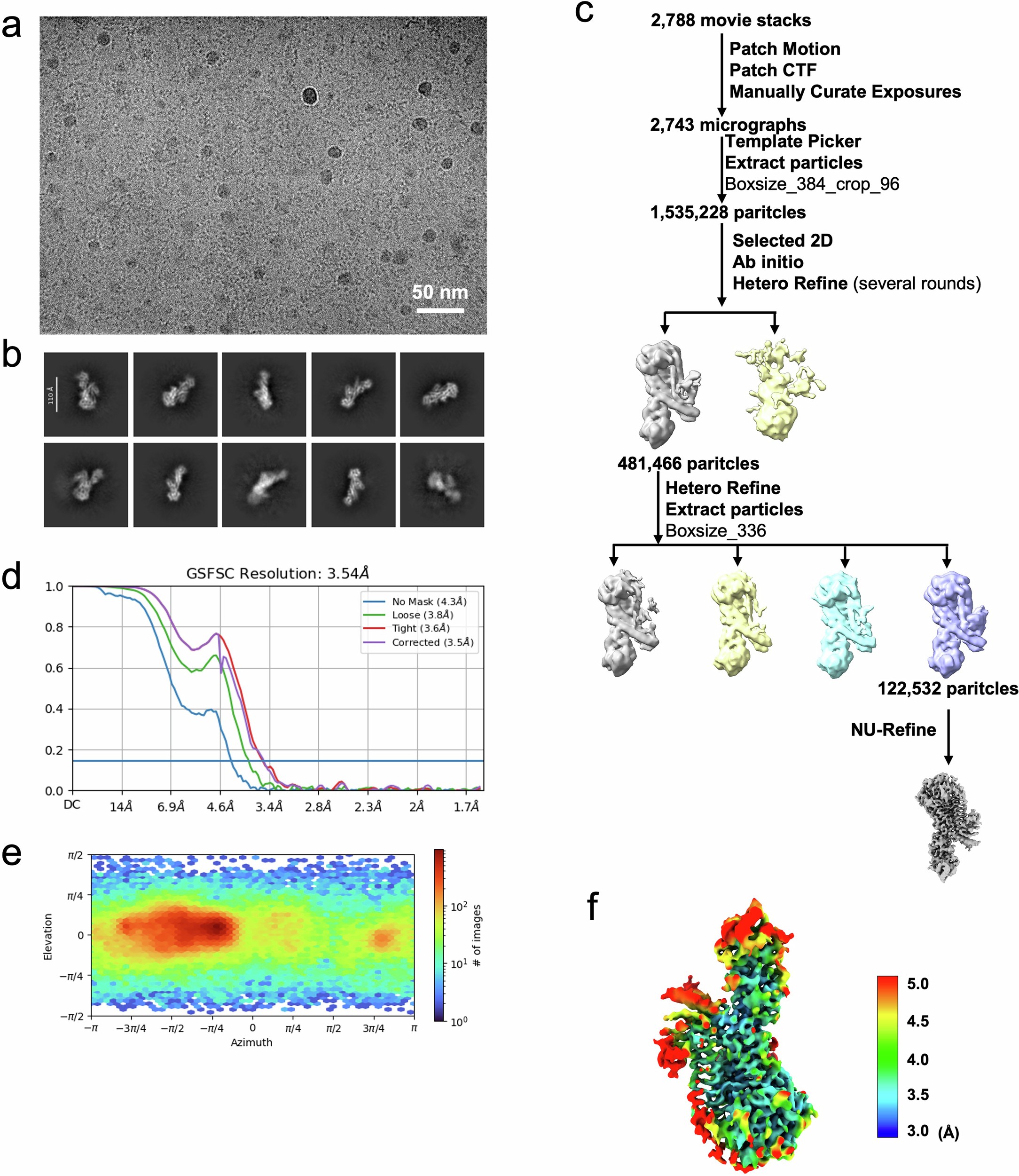 Extended Data Fig. 4: Single-particle cryo-EM data processing of VcLmuACB.