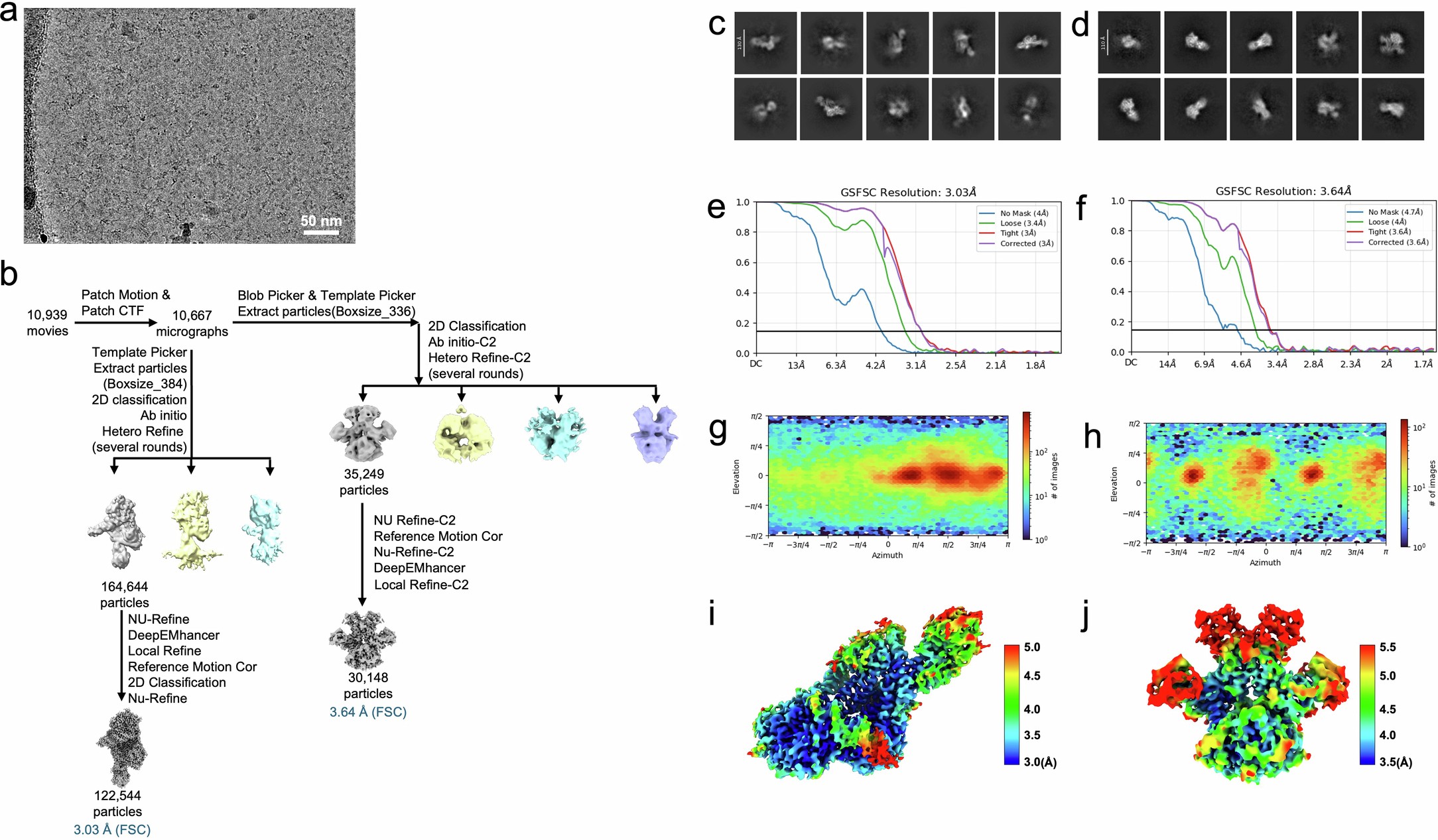 Extended Data Fig. 9: Single-particle cryo-EM data processing of VcLmuACB-59bp DNA complex and VcLmuA-tetramer complex.