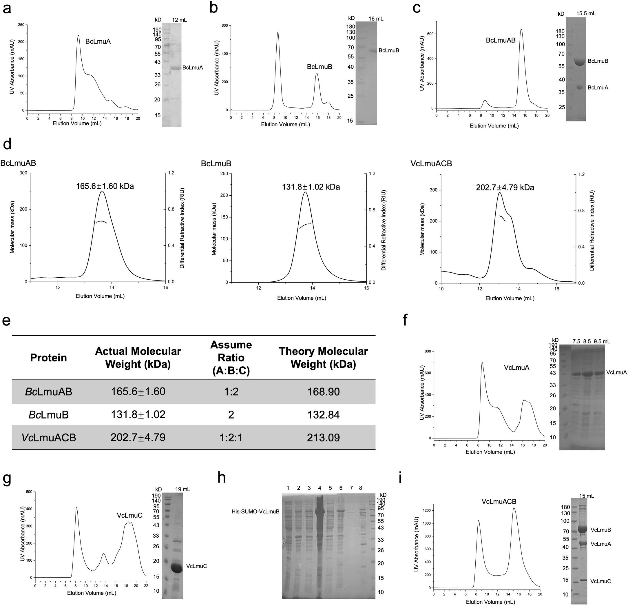 Extended Data Fig. 1: Type I and type II Lamassu systems both form heterooligomers.