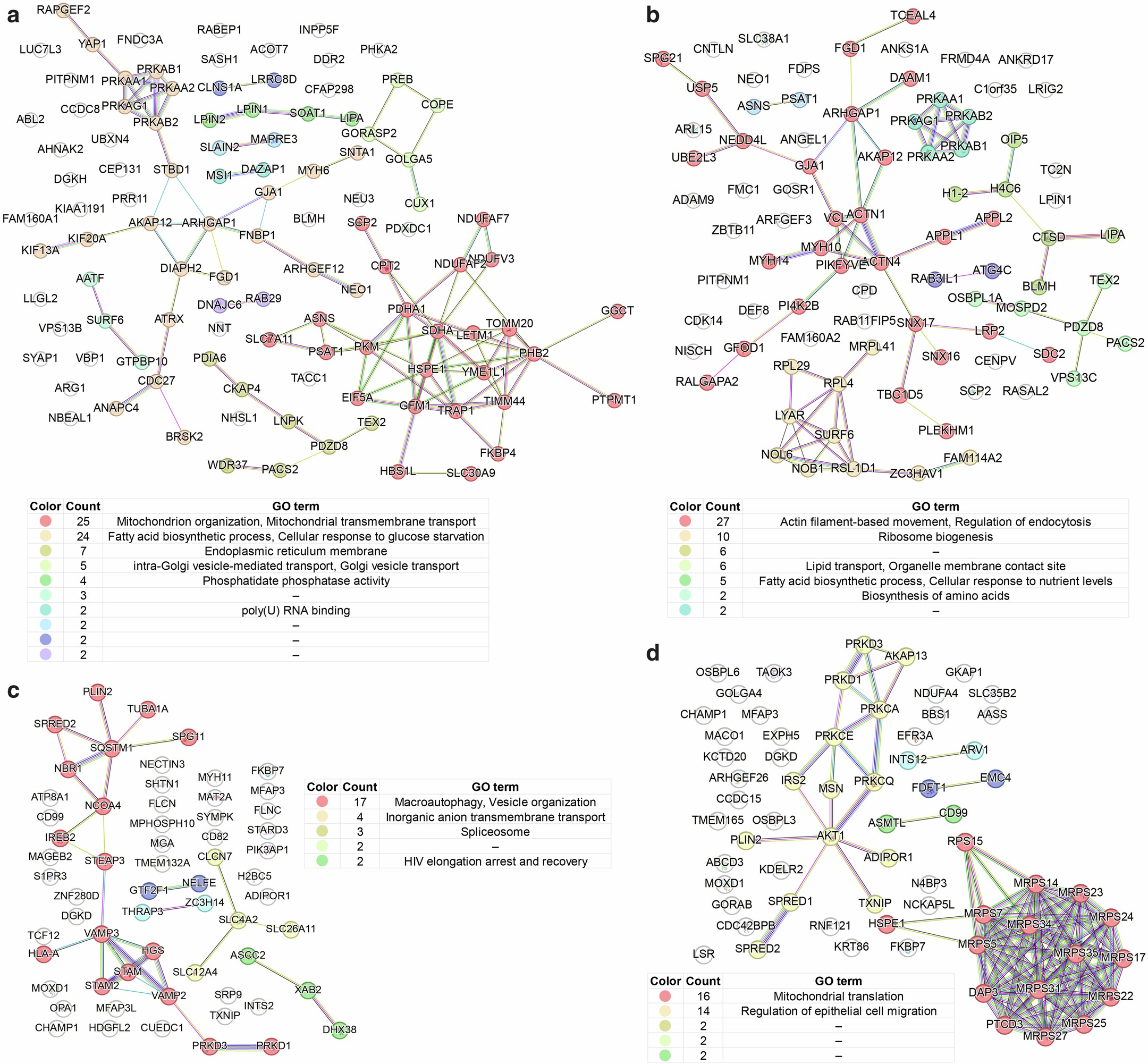 Extended Data Fig. 2: Interactome analysis of proteins identified in Feeding–Fishing proteomics.