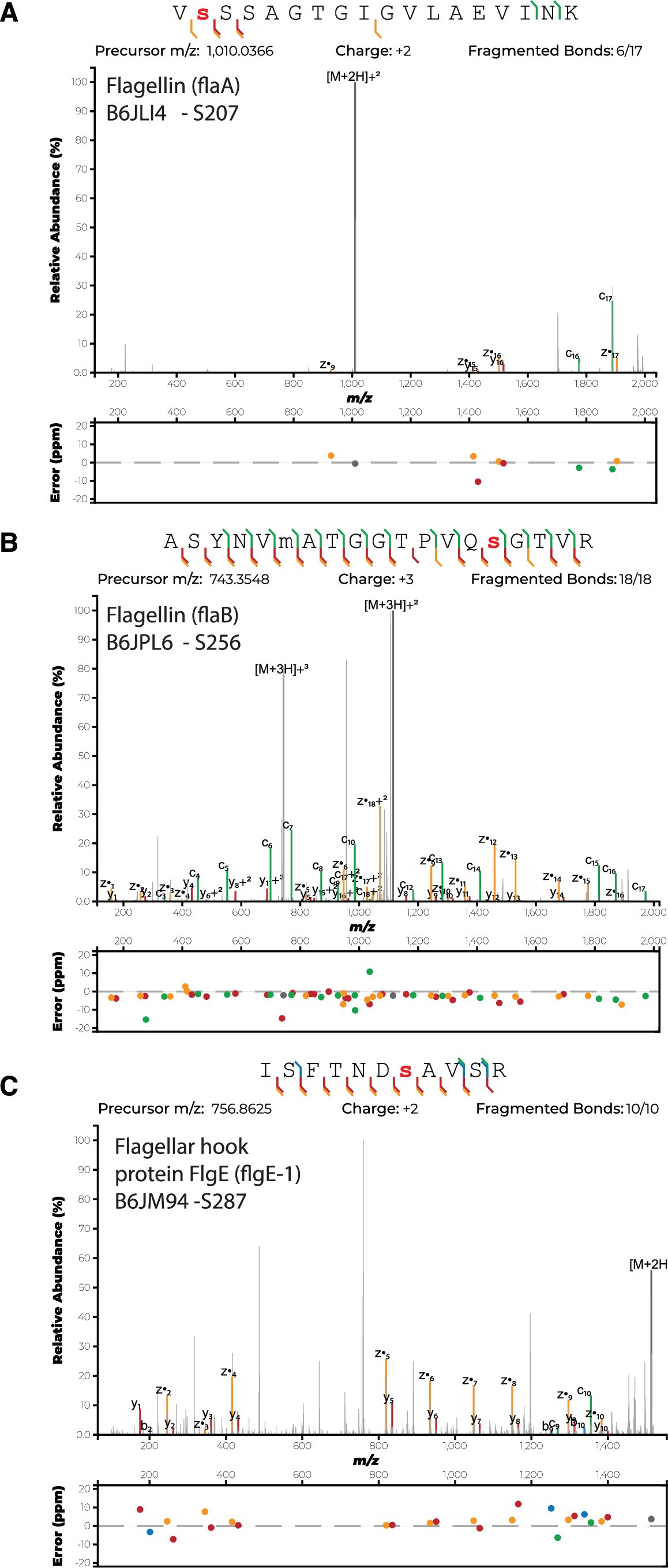 Extended Data Fig. 1: ExD enabled localisation of native H. pylori glycopeptides FlaA (206-211), FlaB (242-260) and FlgE(281-291).