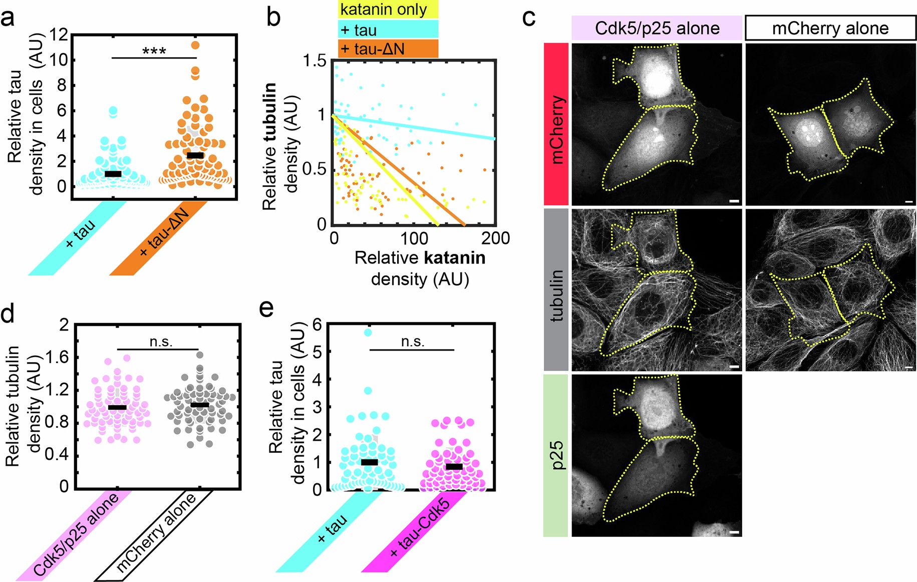 Extended Data Fig. 10: Tau phosphorylation affects envelope functionality in vivo.