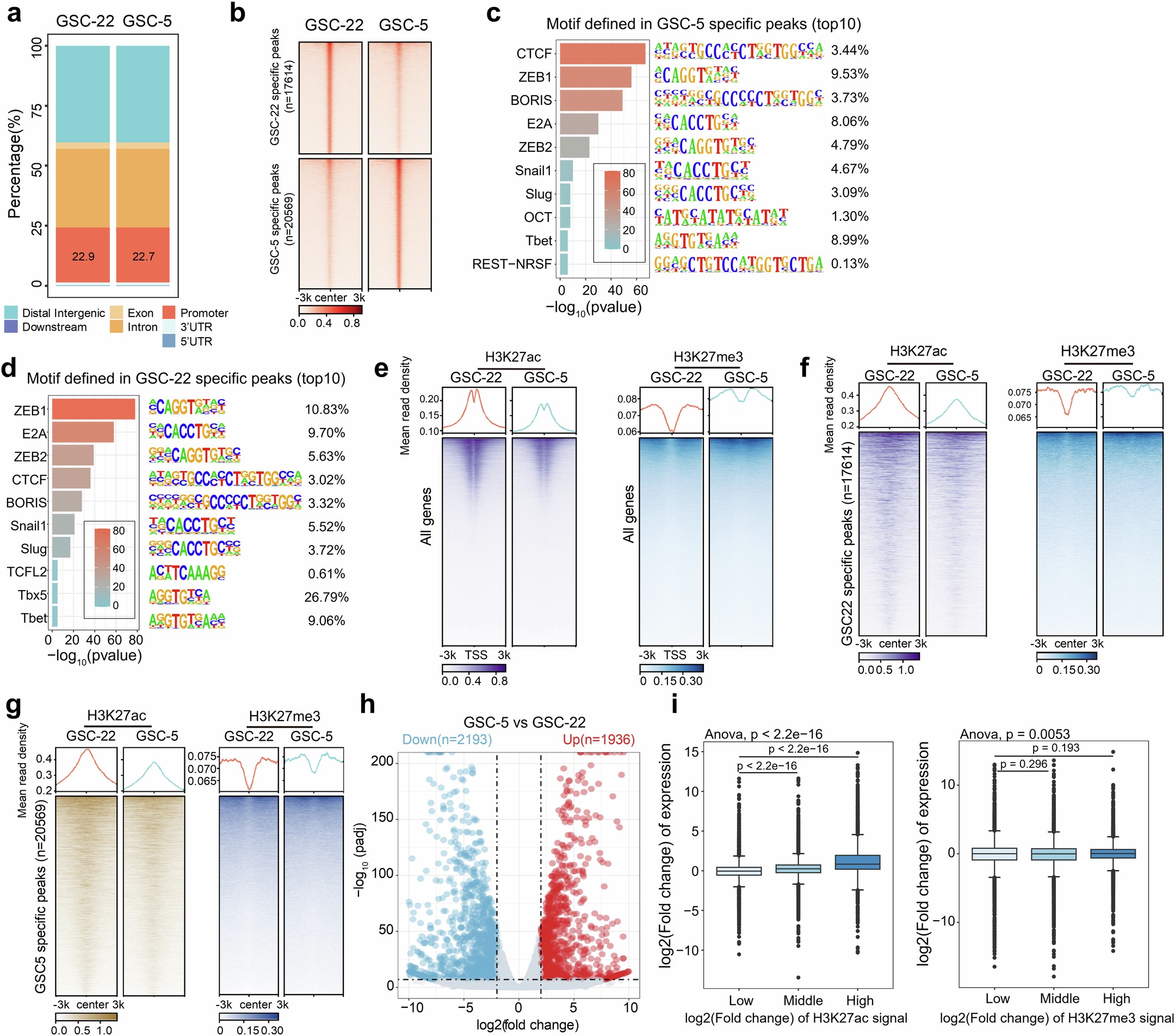 Extended Data Fig. 2: Integrated epigenetic landscapes of TMZ-resistant and TMZ-sensitive glioblastoma cells.