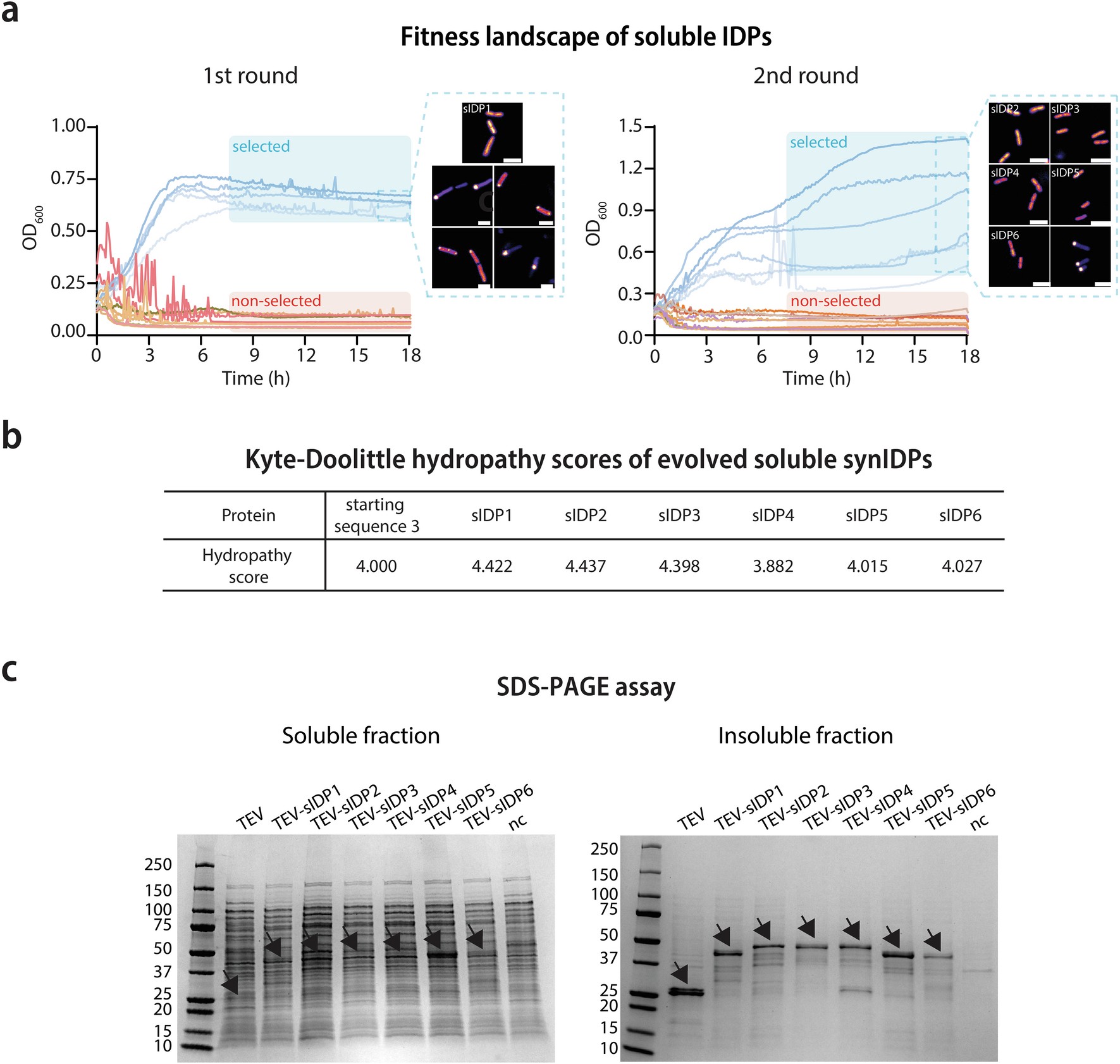 Extended Data Fig. 4