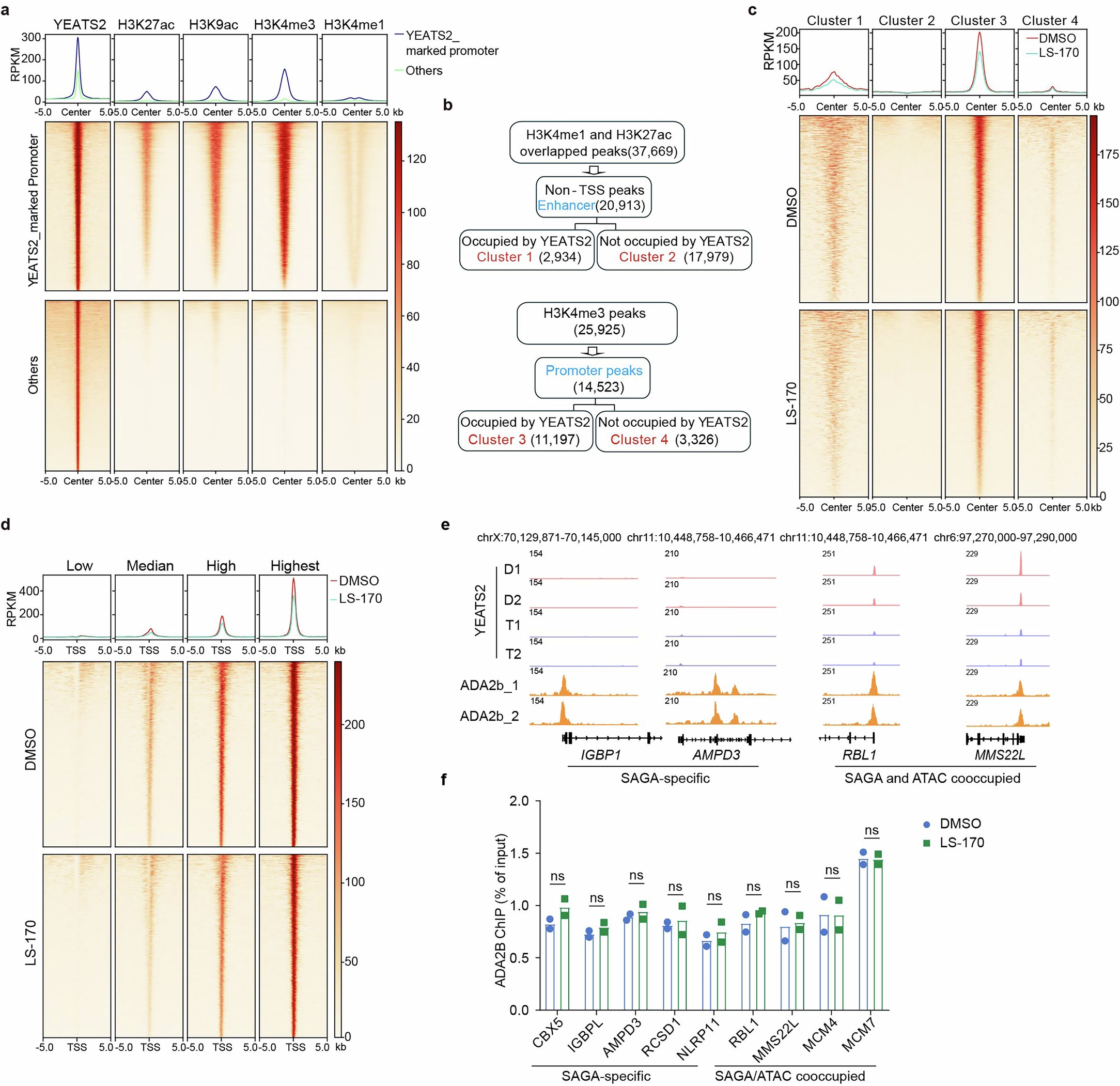 Extended Data Fig. 7: LS-170 displaces the ATAC complex from chromatin.