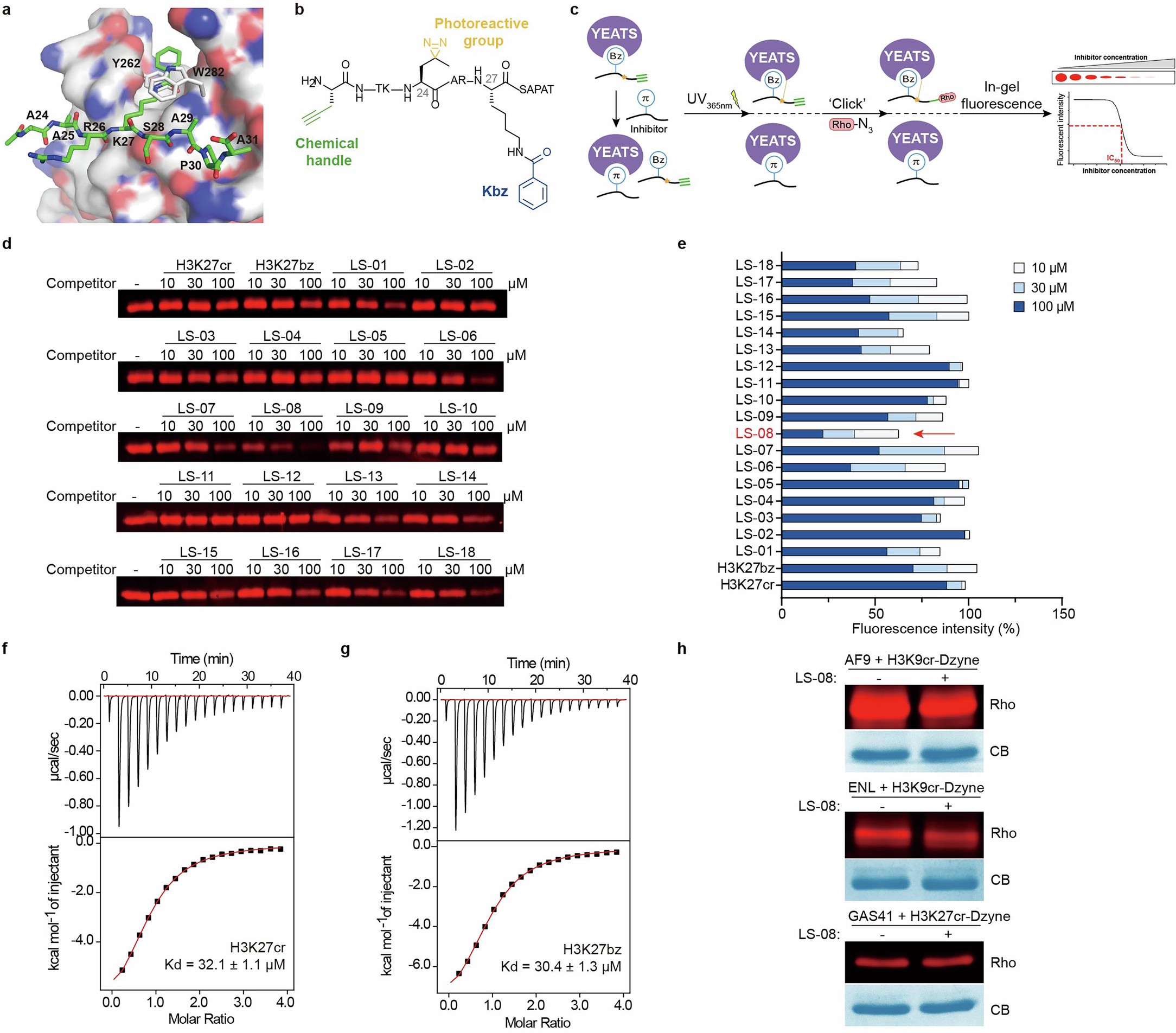 Extended Data Fig. 1: Development of YEATS2 YEATS inhibitors by targeting π-π-π stacking.