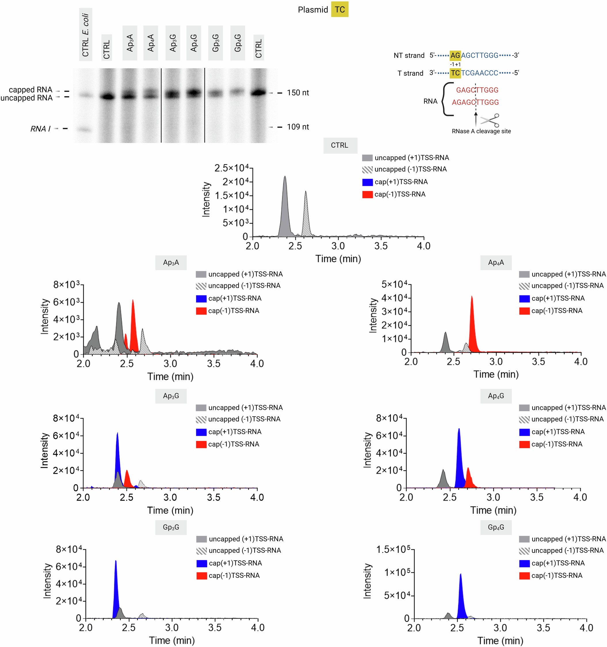 Extended Data Fig. 3