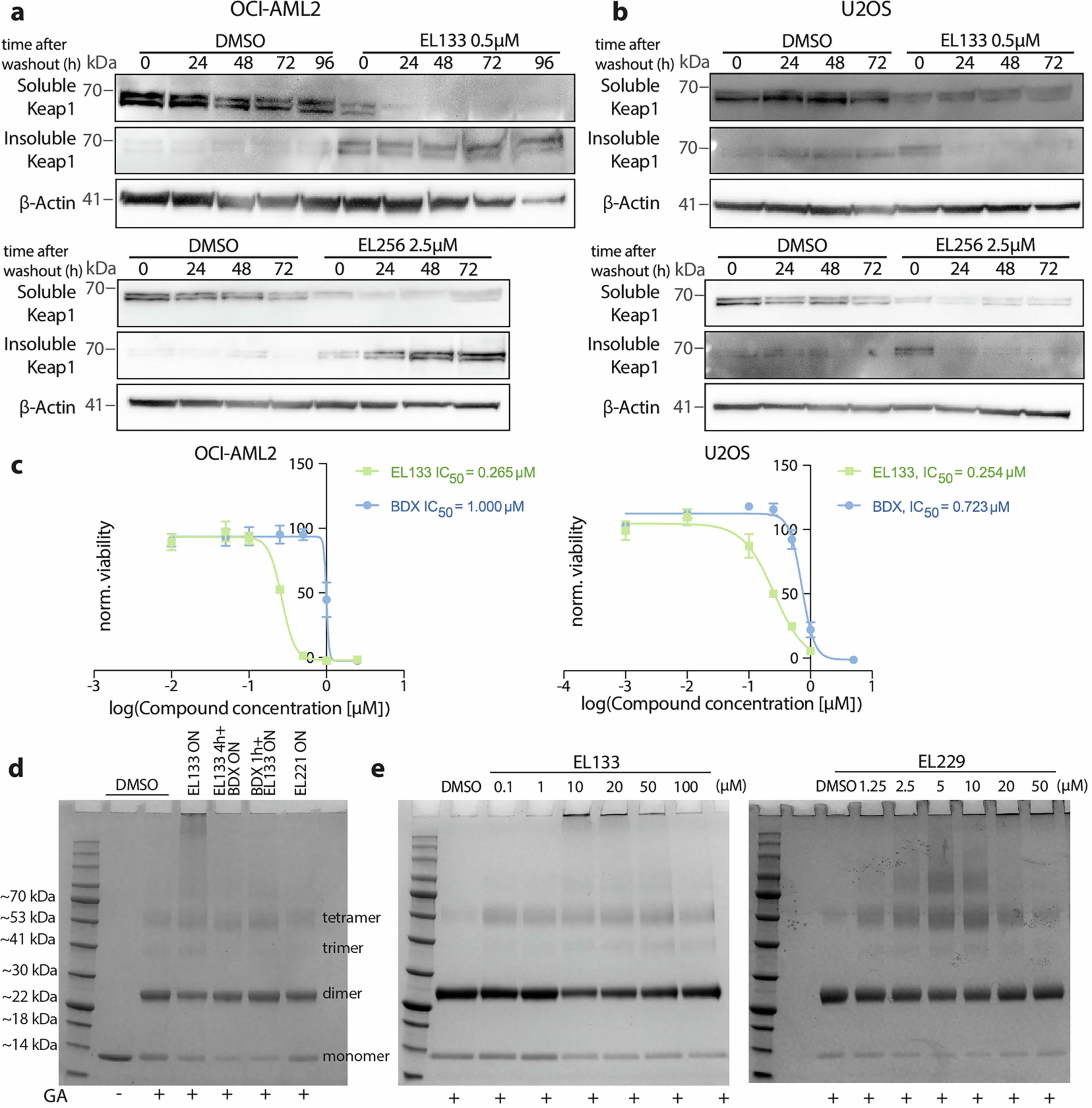 Extended Data Fig. 3: Duration of PINCH induced precipitation and effects on cell viability.