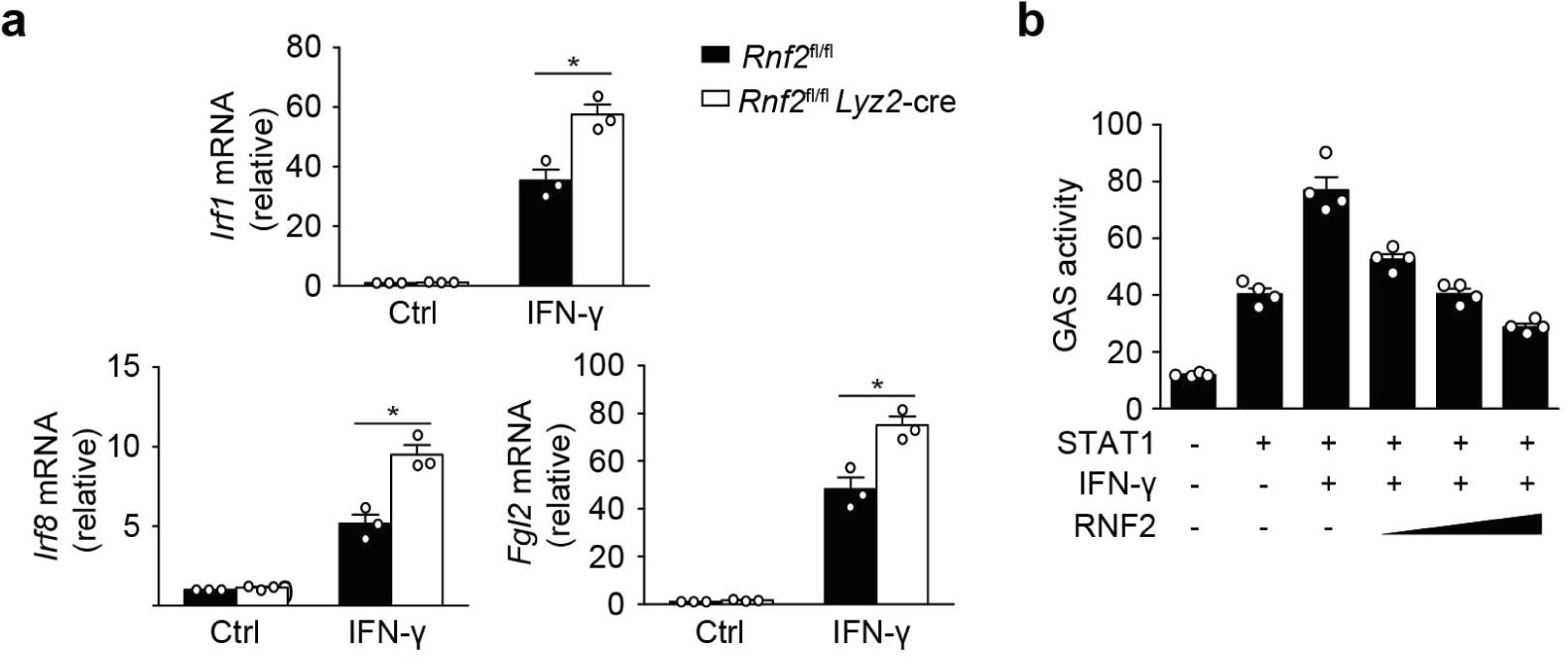 Supplementary Figure 3