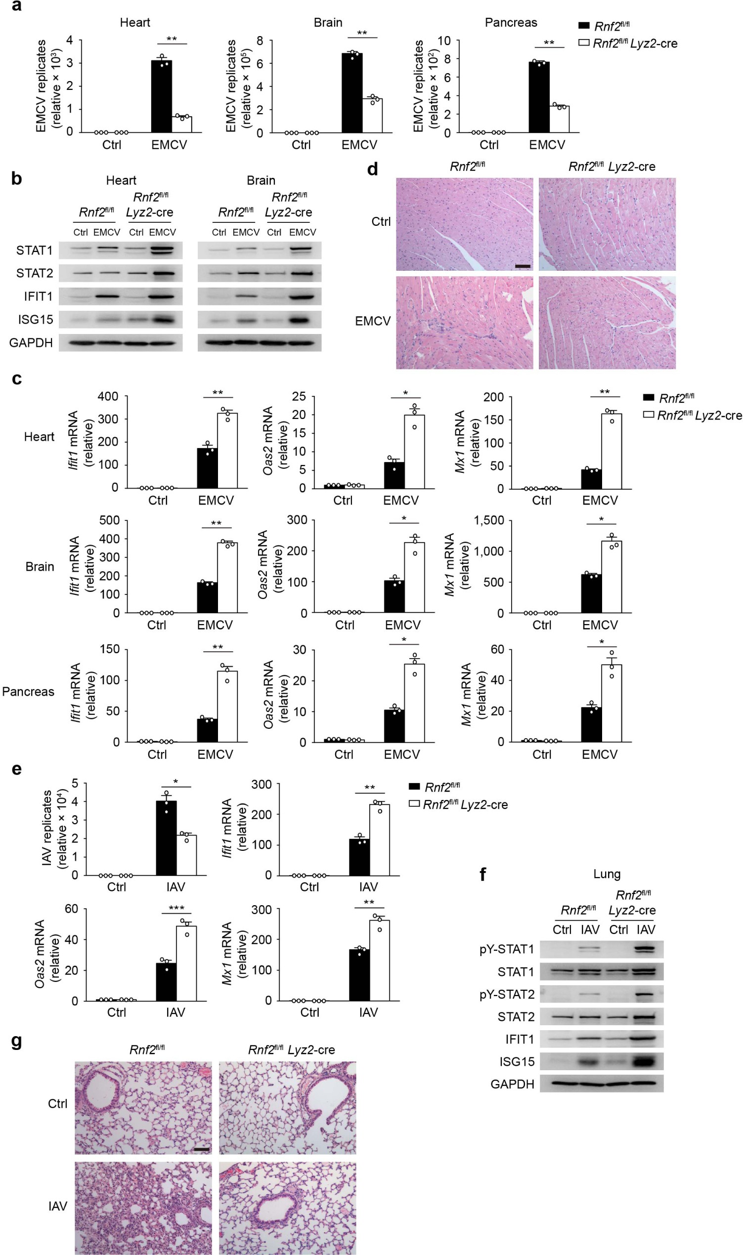 Supplementary Figure 4