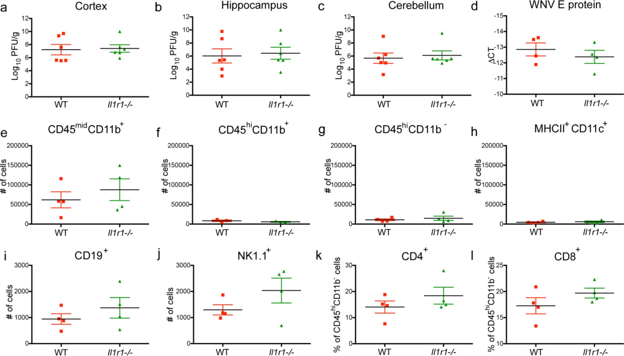 Supplementary Figure 4: Lack of IL-1 signaling does not affect viral control or immune cell infiltrates to the CNS.