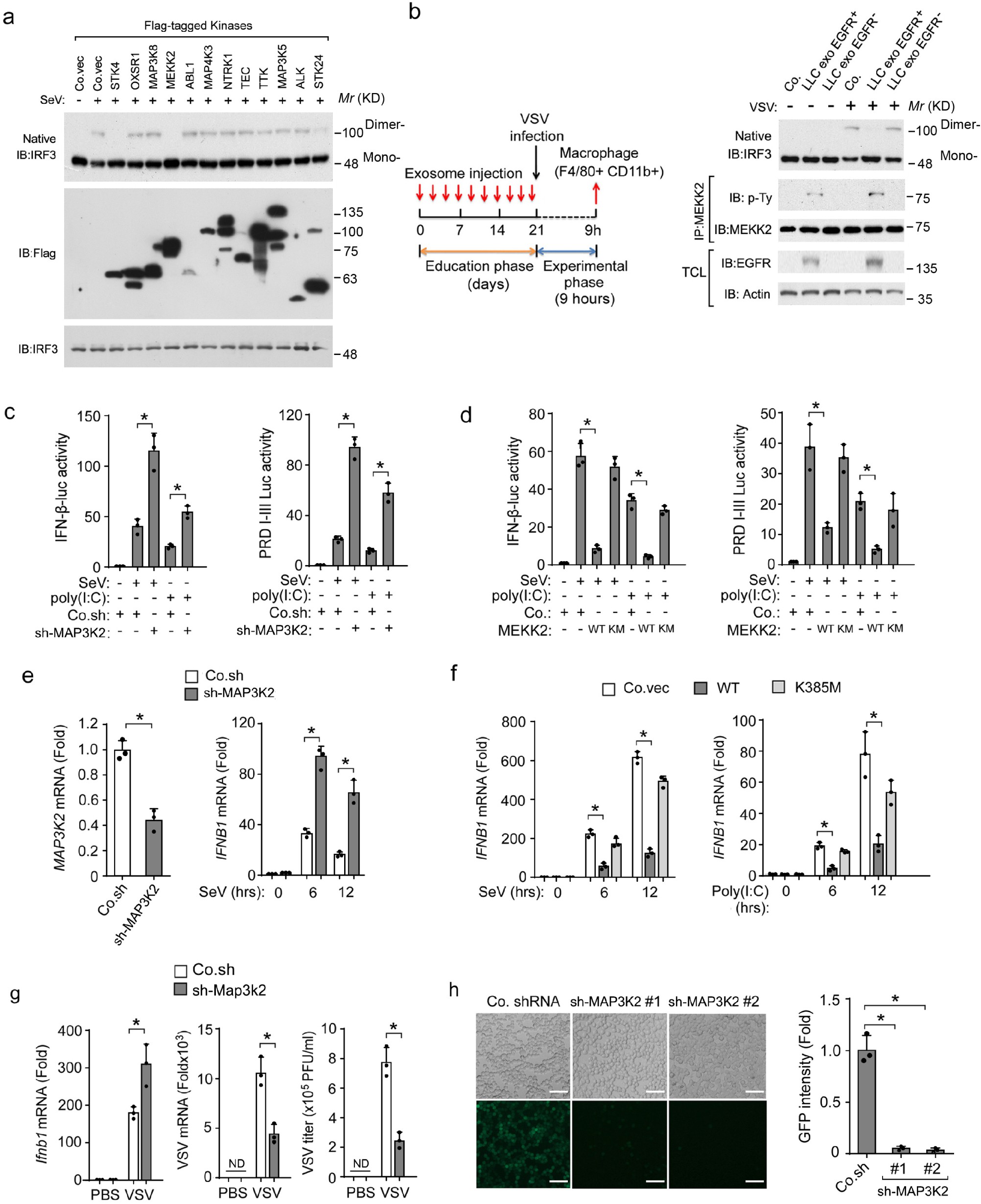 Supplementary Figure 4