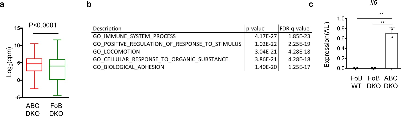 Supplementary Figure 4