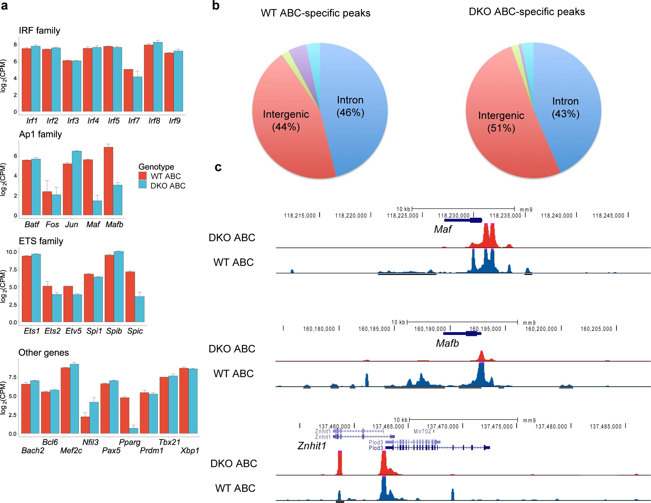 Supplementary Figure 5