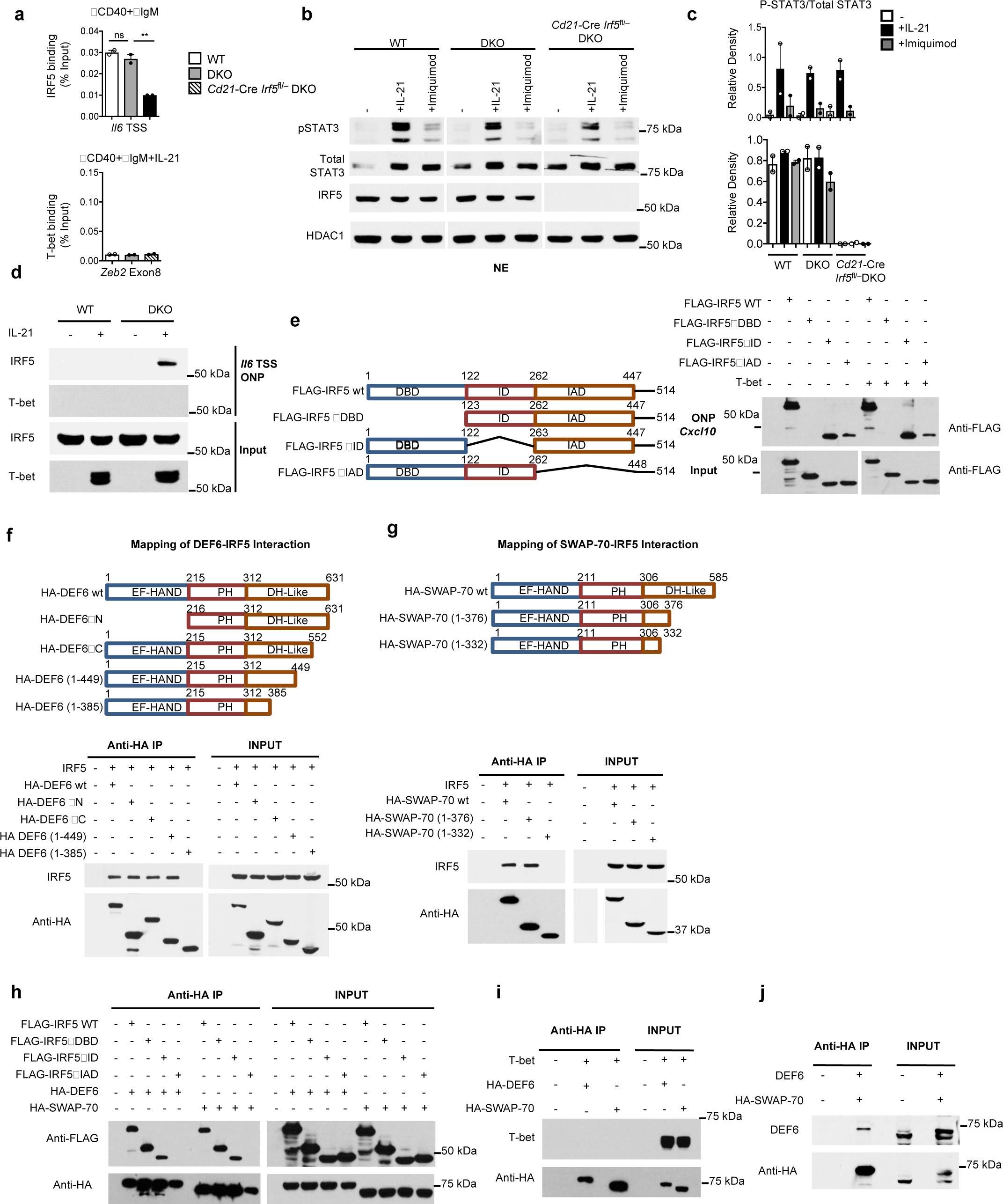 Supplementary Figure 7