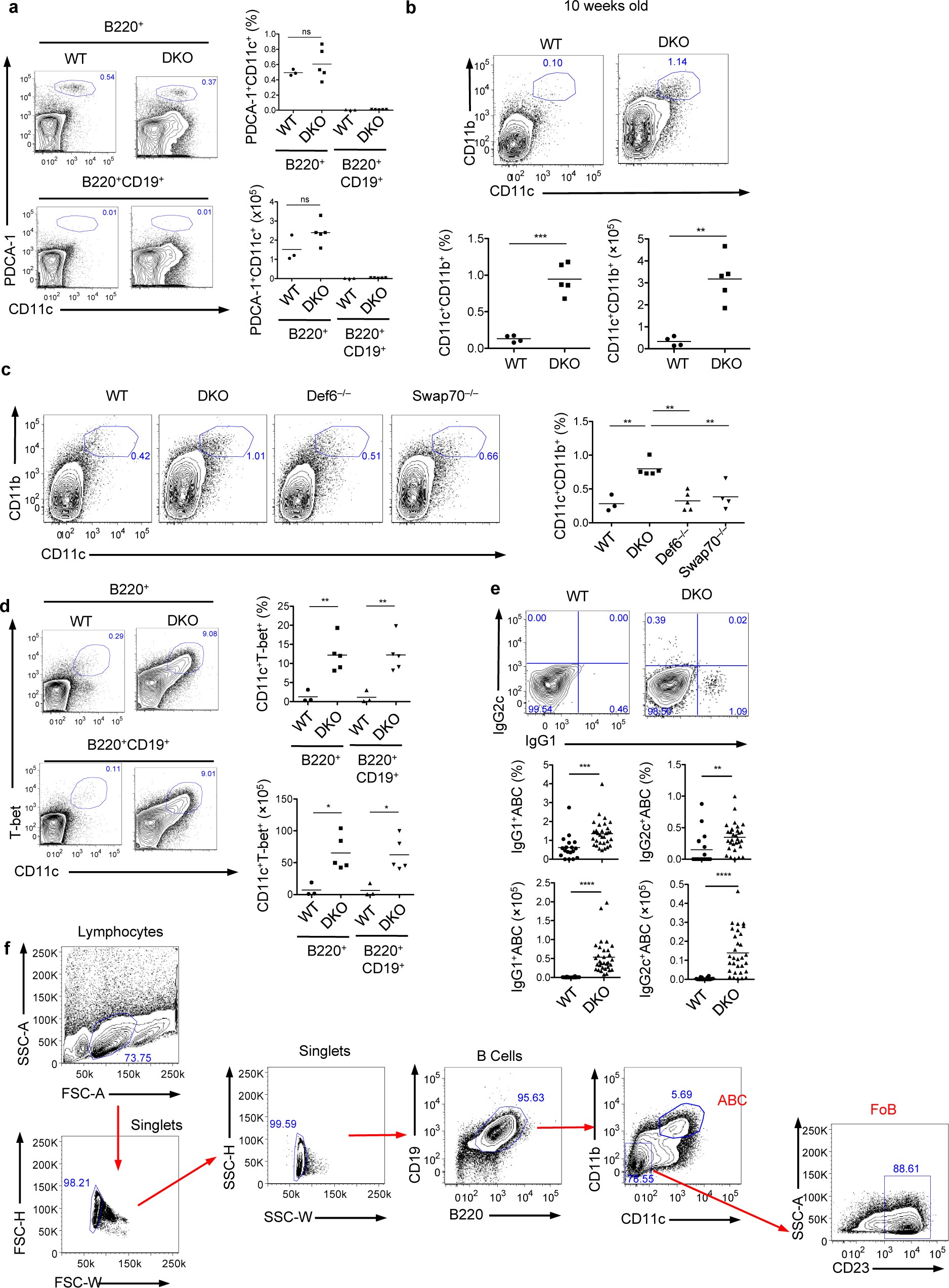 Supplementary Figure 1