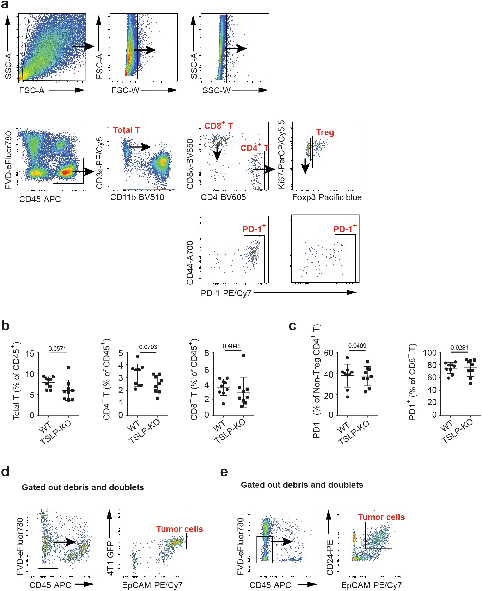 Supplementary Figure 2: T cells in the primary tumor in TSLP-KO mice