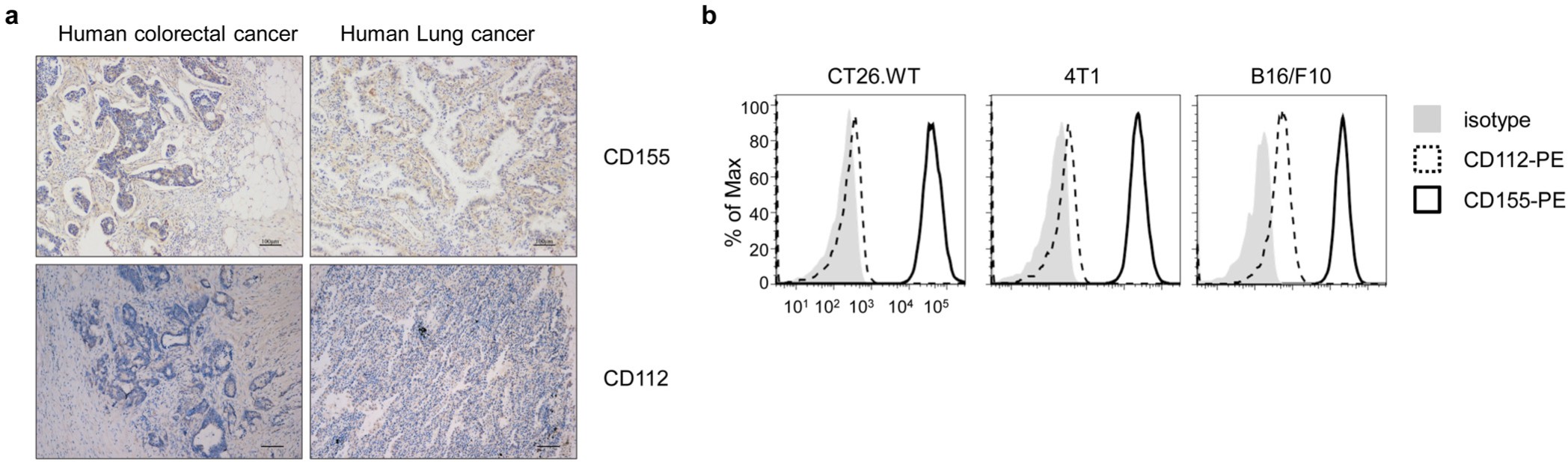 Supplementary Figure 2