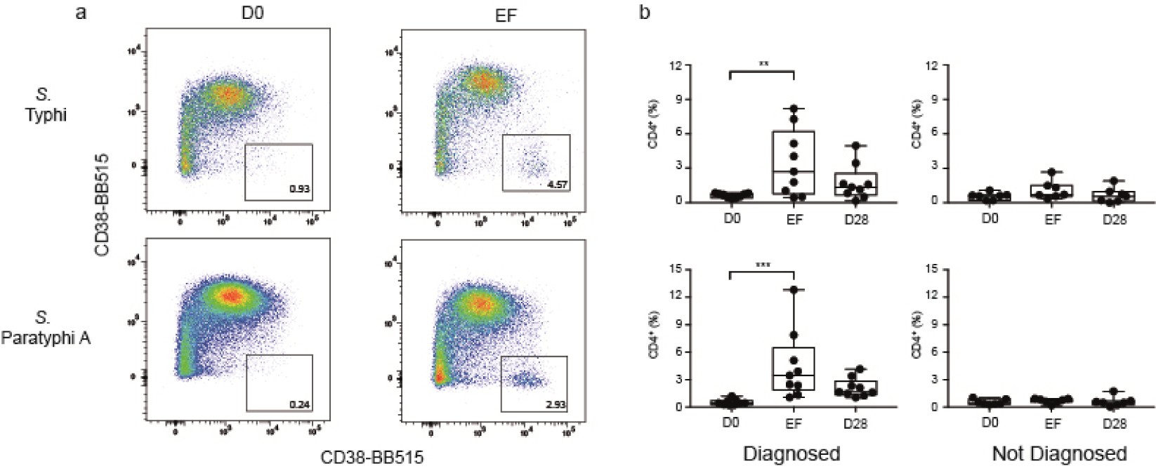 Supplementary Figure 3: Accumulation of CD4+CD38+CCR7– in whole blood of volunteers with enteric fever