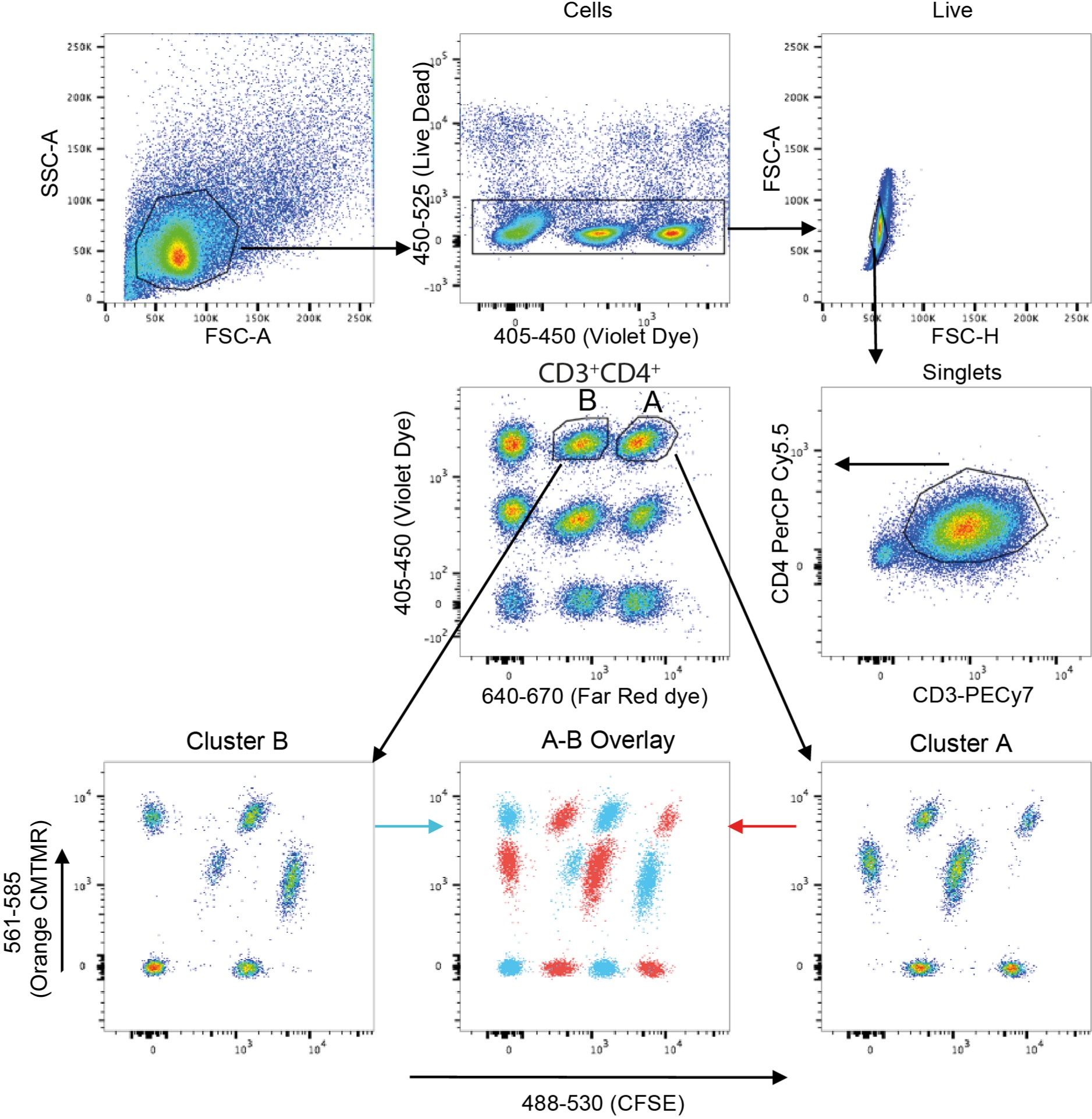 Supplementary Figure 4: Gating strategy for live fluorescence barcoding of T cell clones