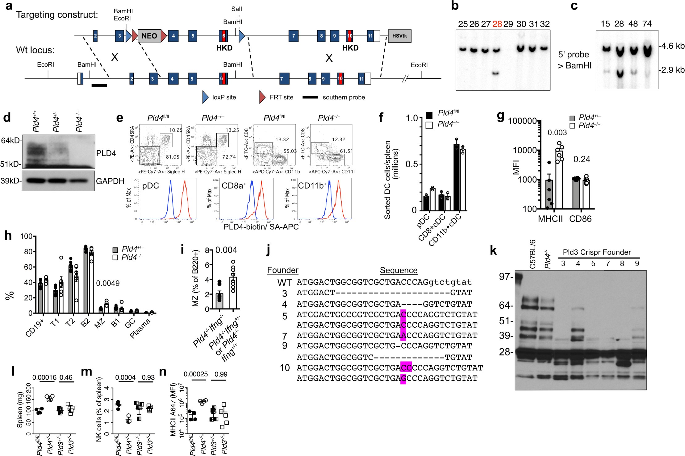 Supplementary Figure 1