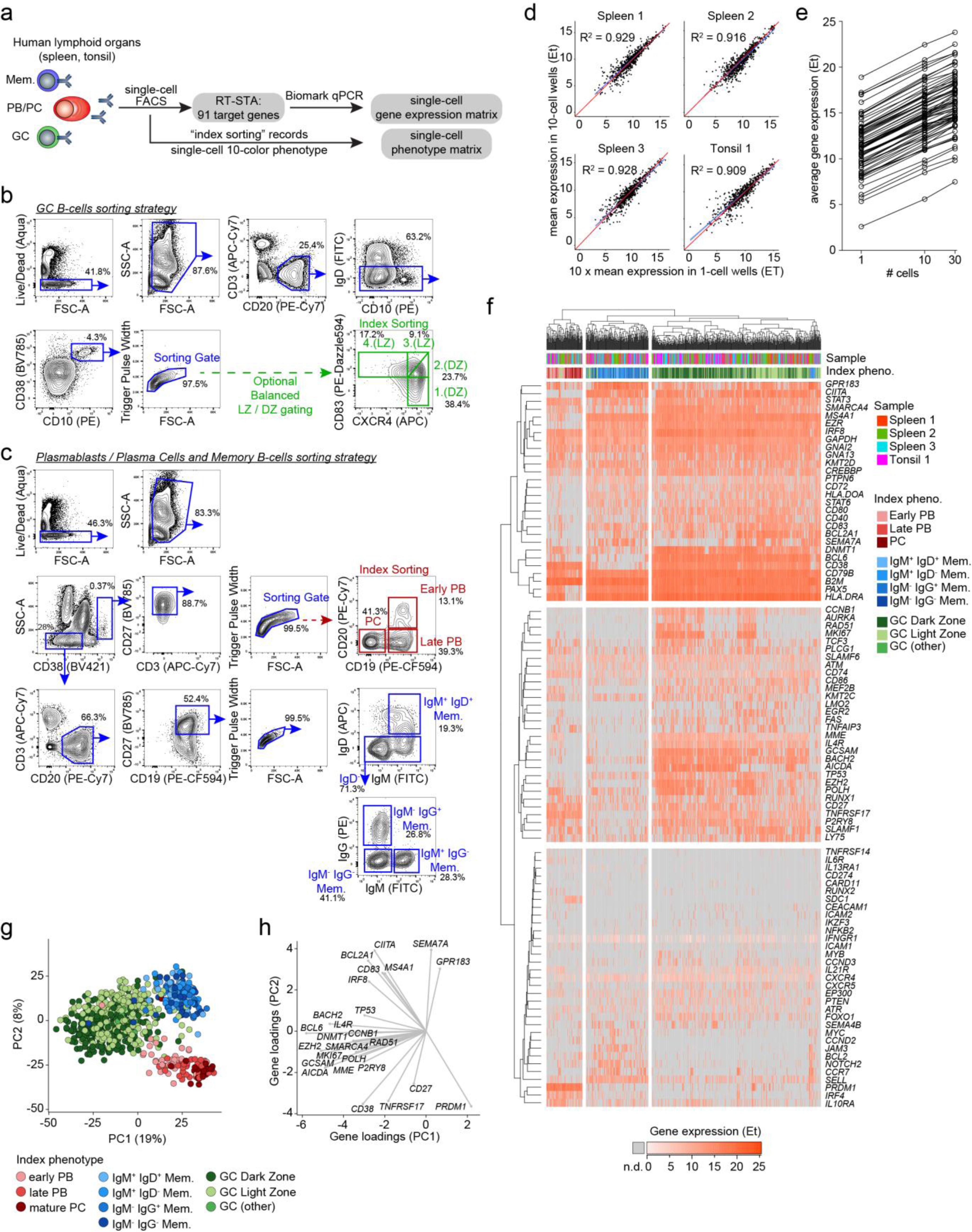 Supplementary Figure 1: Integrative single-cell analysis for human B cell subsets segregation.