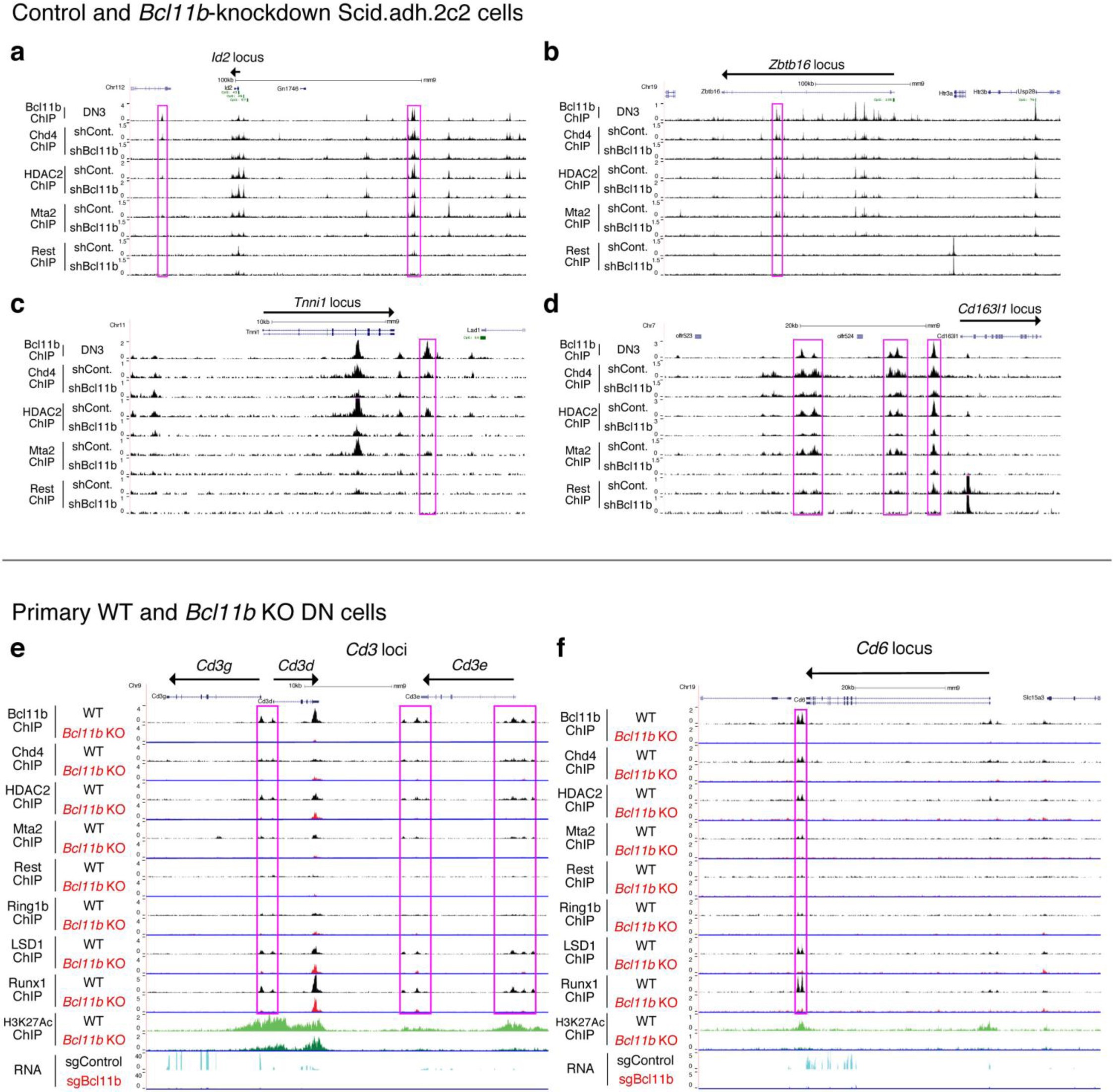 Supplementary Figure 6