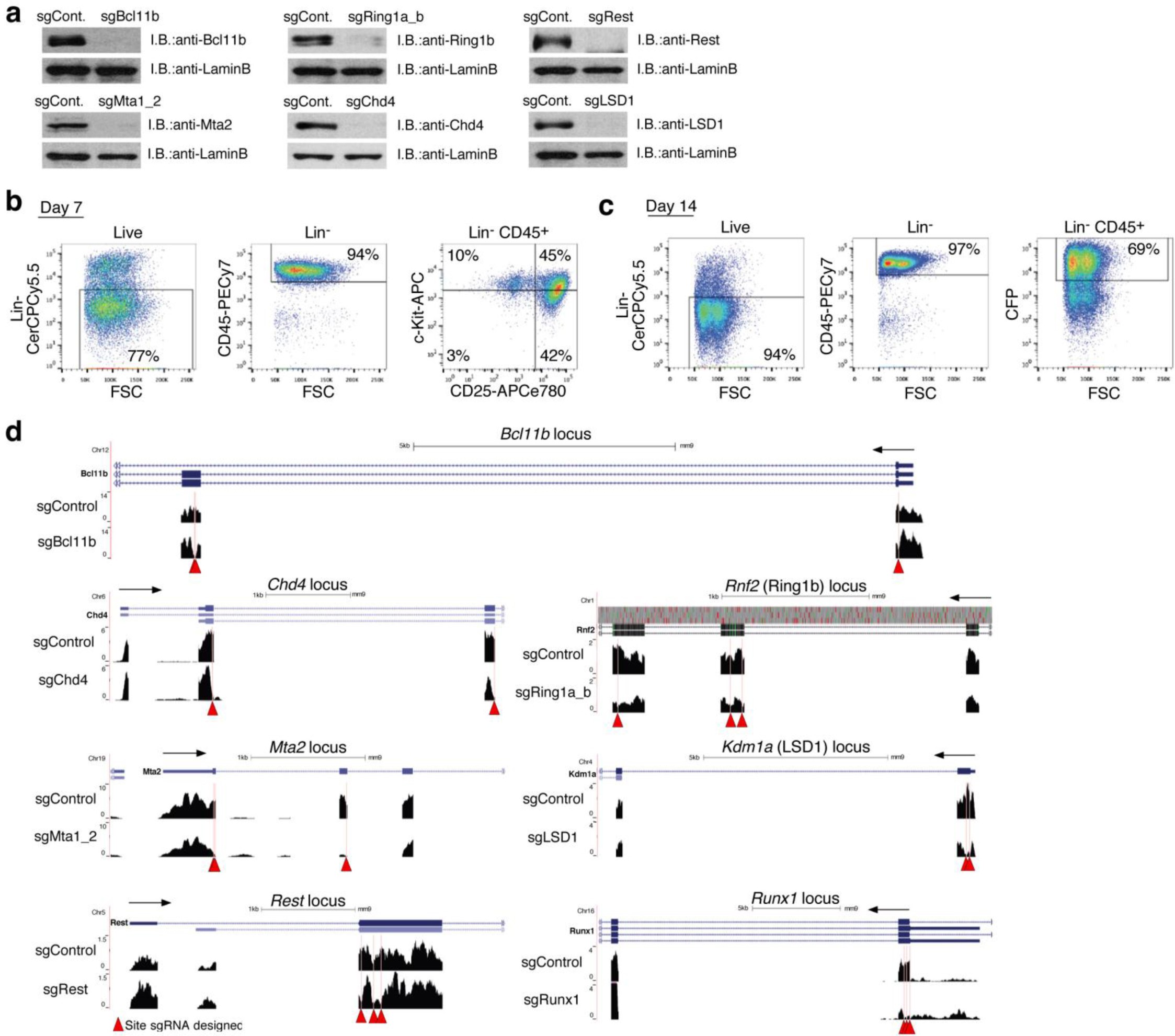 Supplementary Figure 8