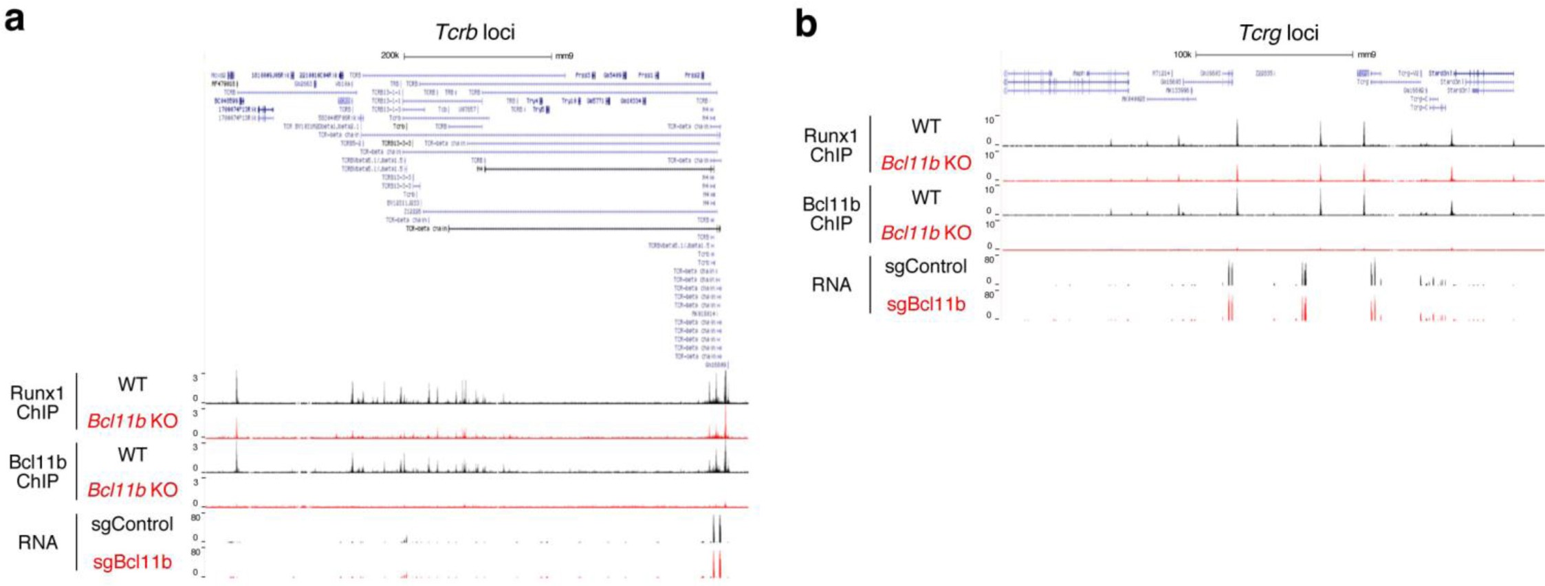Supplementary Figure 9