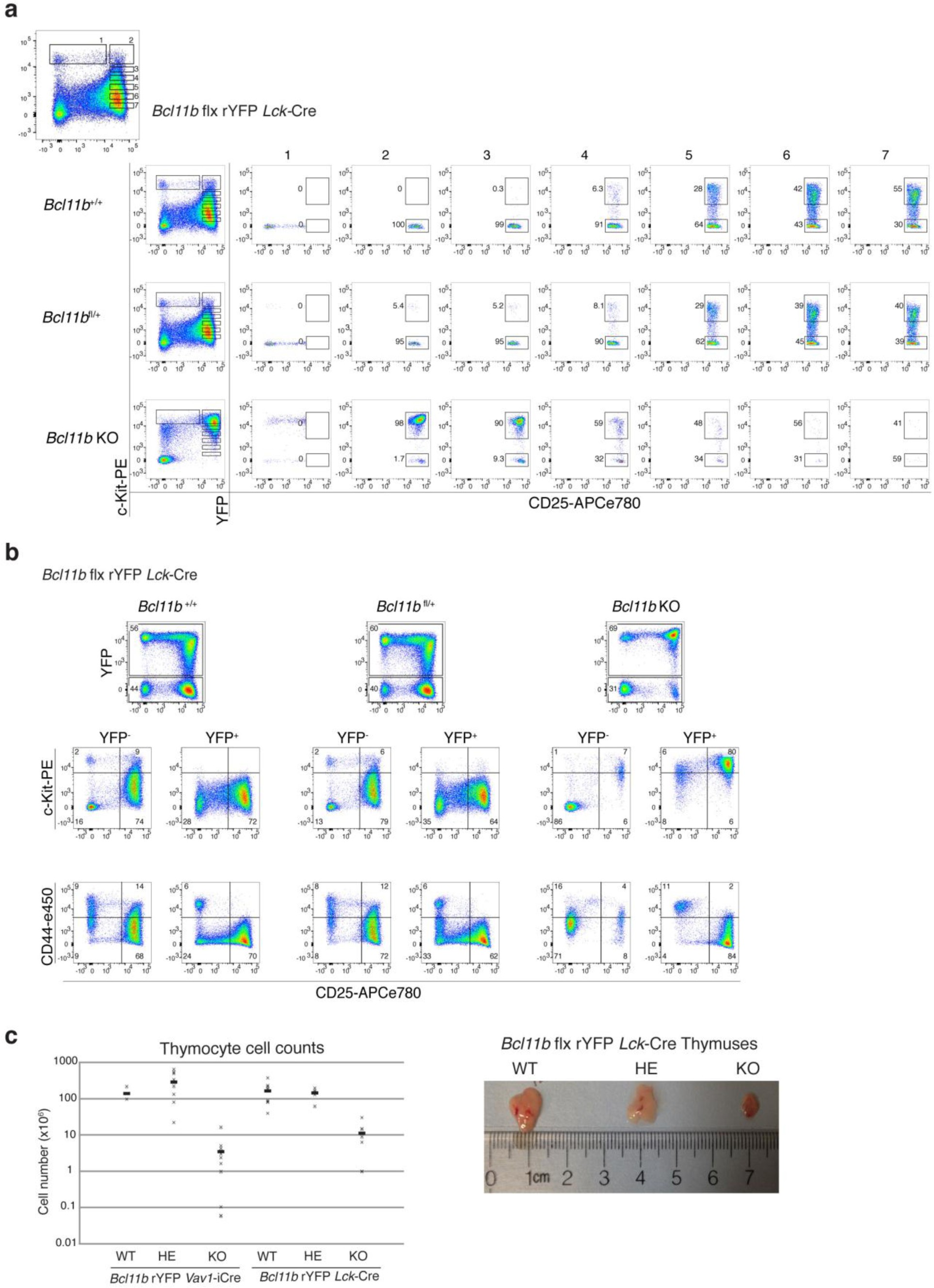 Supplementary Figure 1