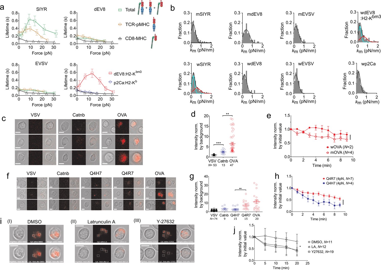 Supplementary Figure 2