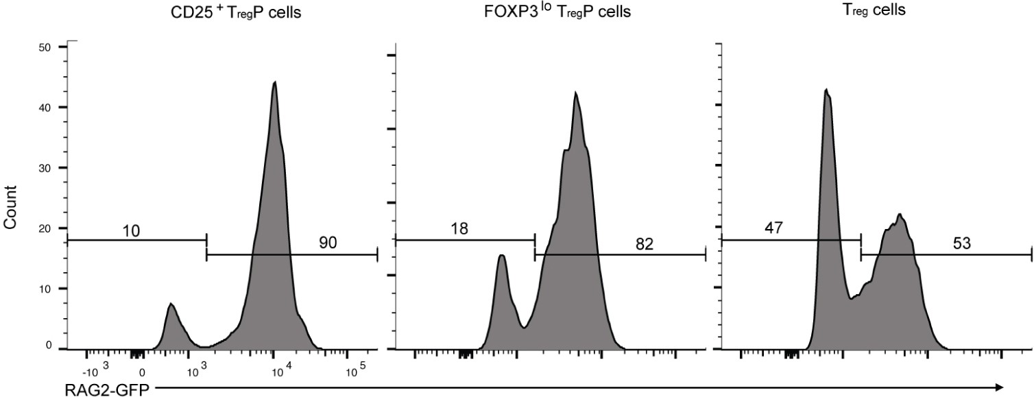 Supplementary Figure 5