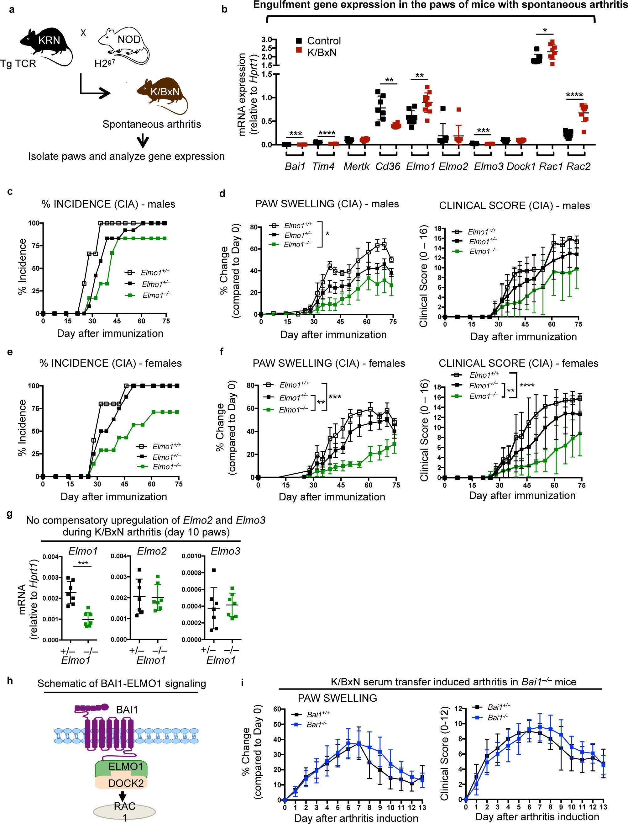 Supplementary Figure 1