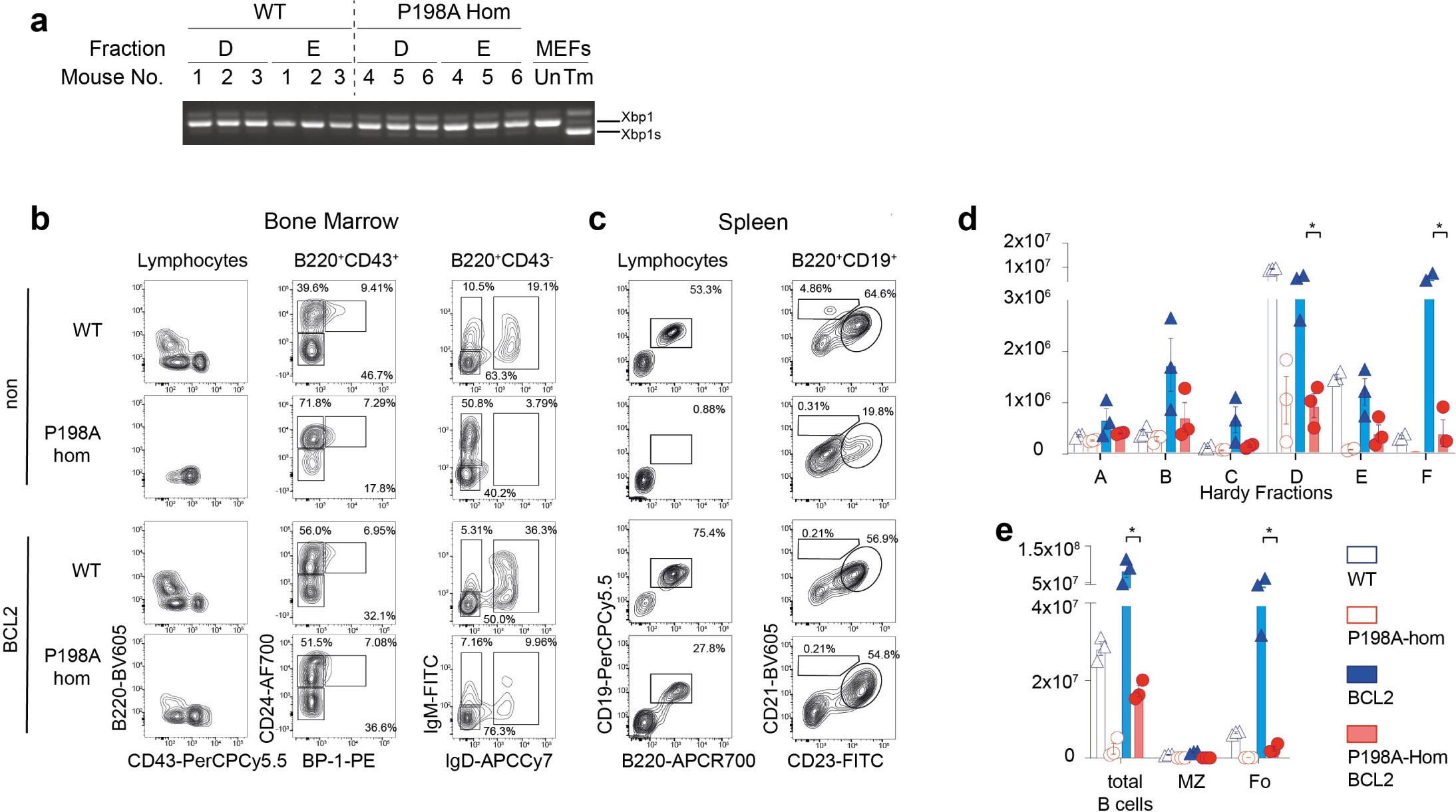 Supplementary Figure 6