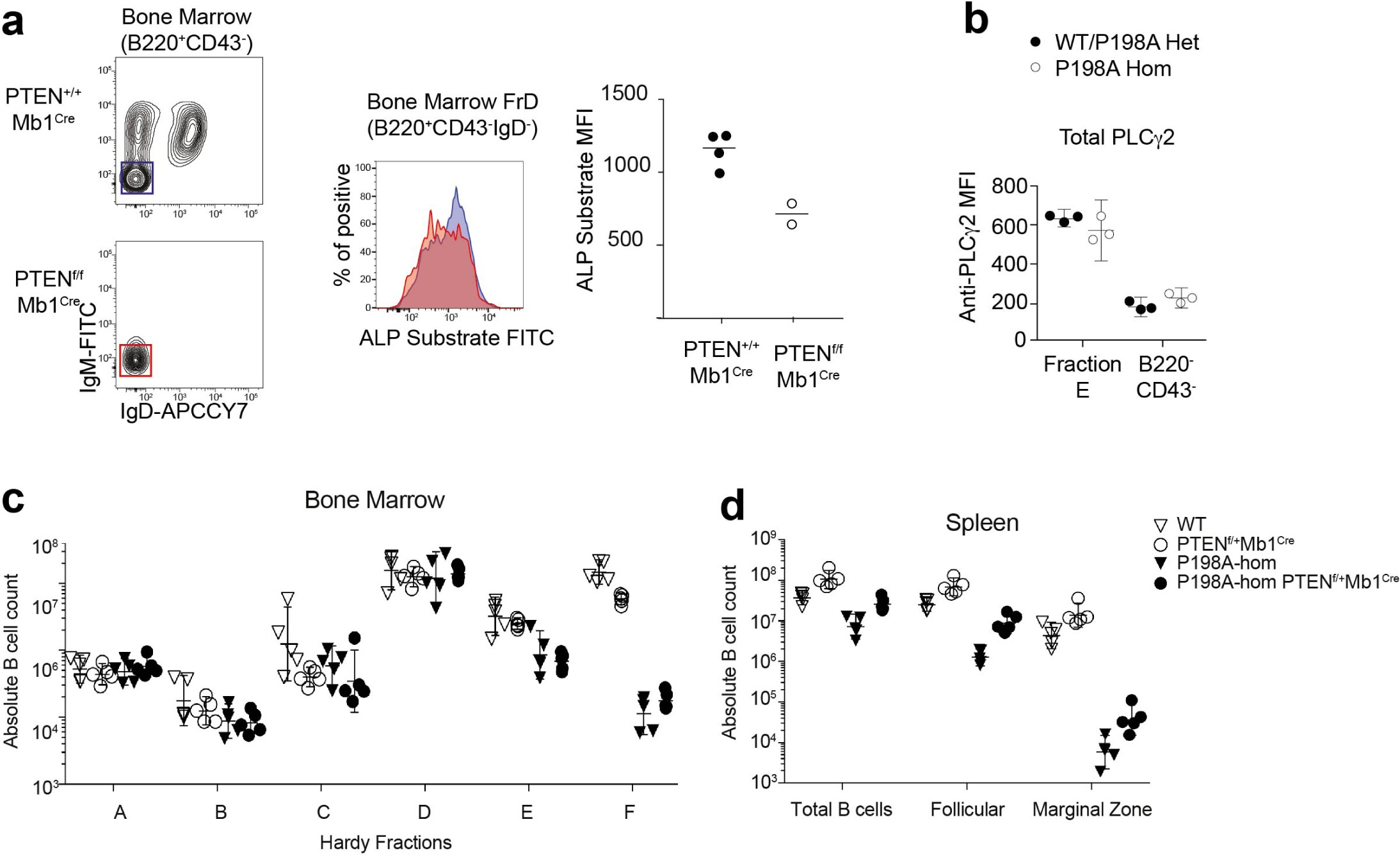 Supplementary Figure 8