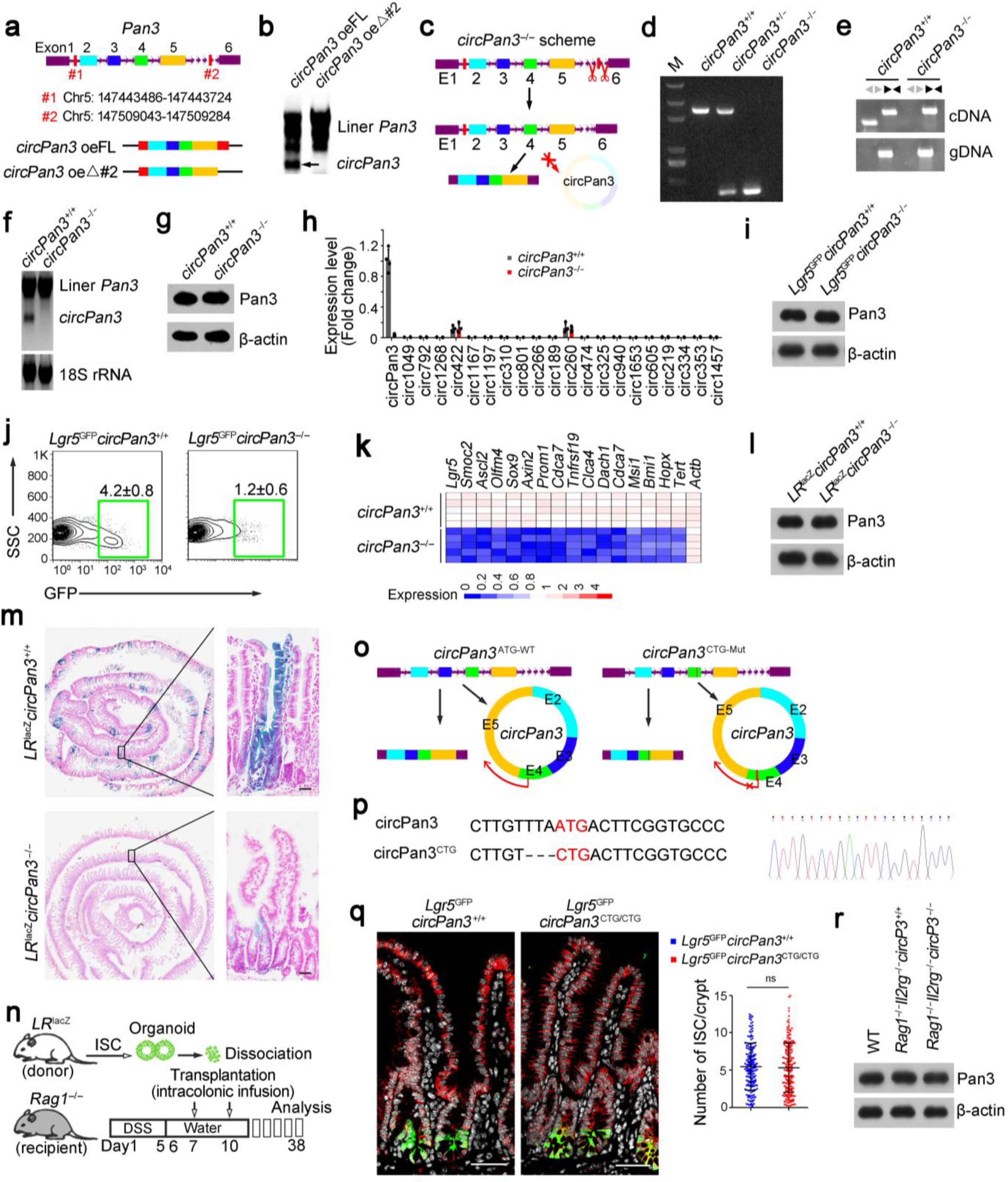 Supplementary Figure 3