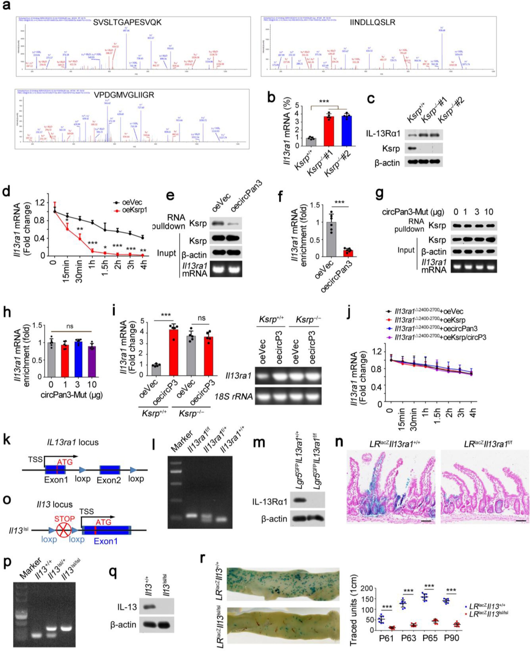 Supplementary Figure 6