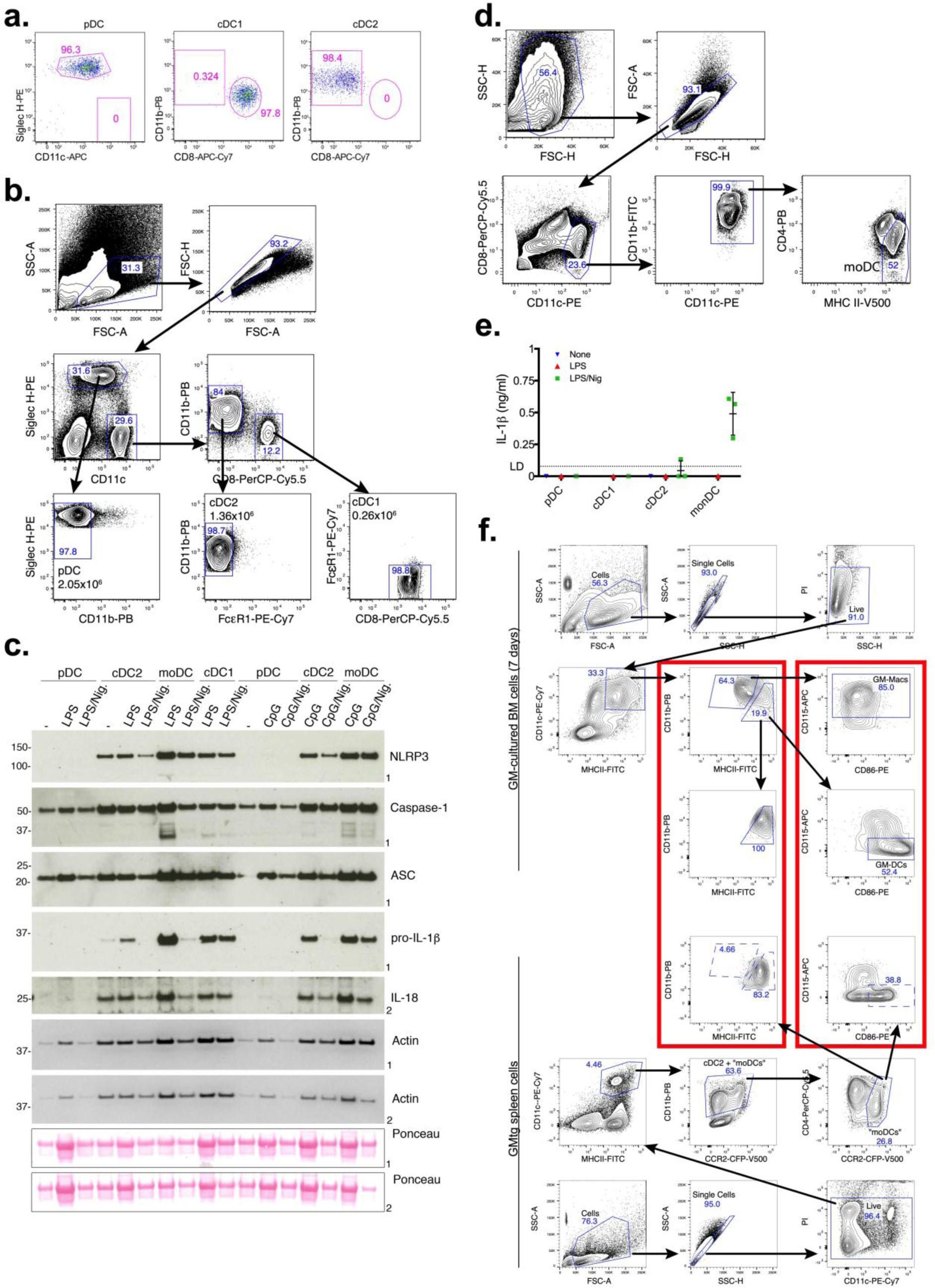 Supplementary Fig. 5